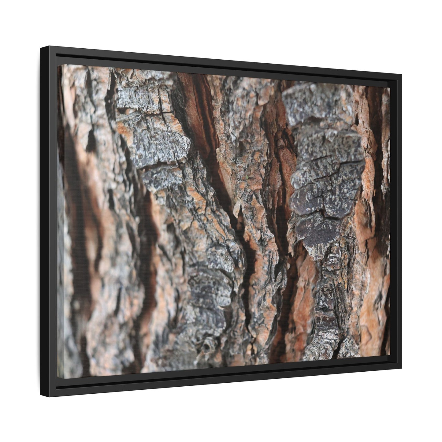 Fractured Nature - Unique Stretched Canvas Wall Art