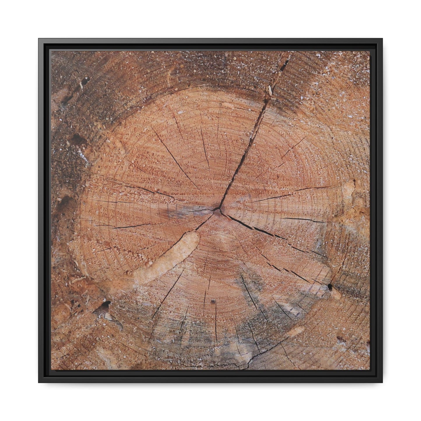 Concentric Memories - Unique Stretched Canvas Wall Art