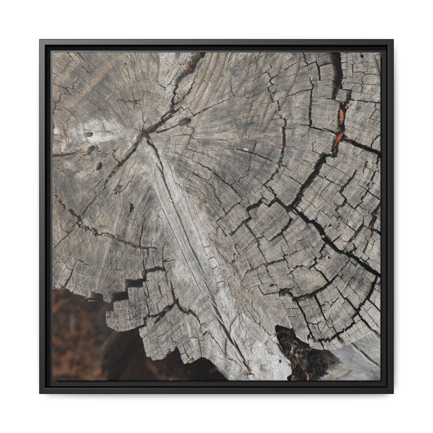 Time's Signature - Unique Stretched Canvas Wall Art