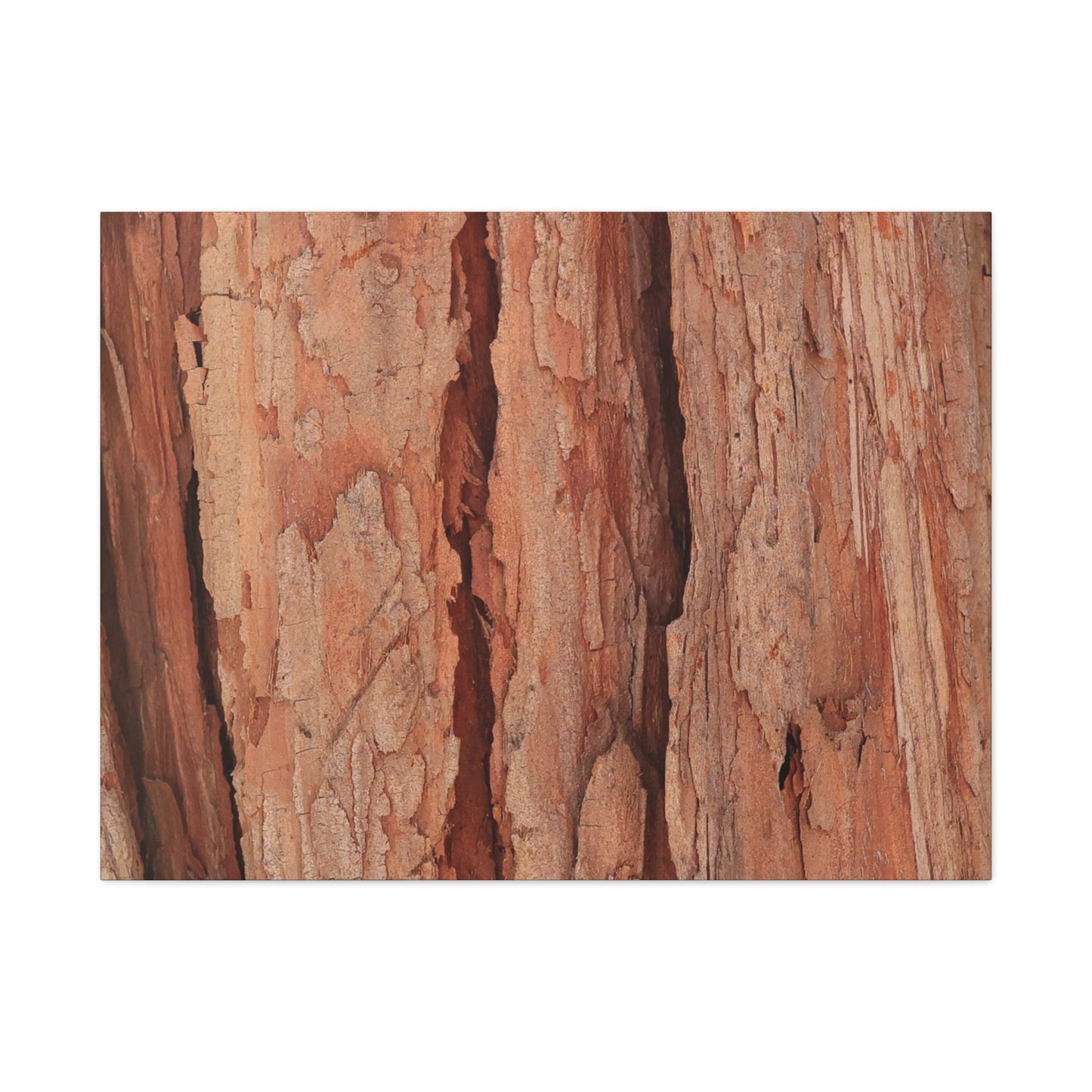 Bark Layers of Time - Unique Frameless Canvas Wall Art