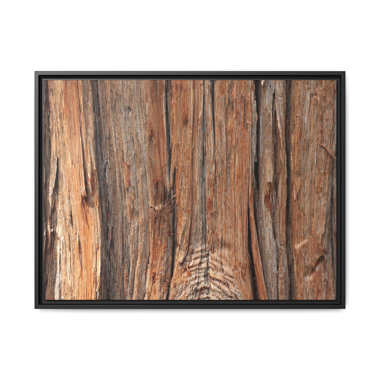 Echoes of Timber - Unique Stretched Canvas Wall Art