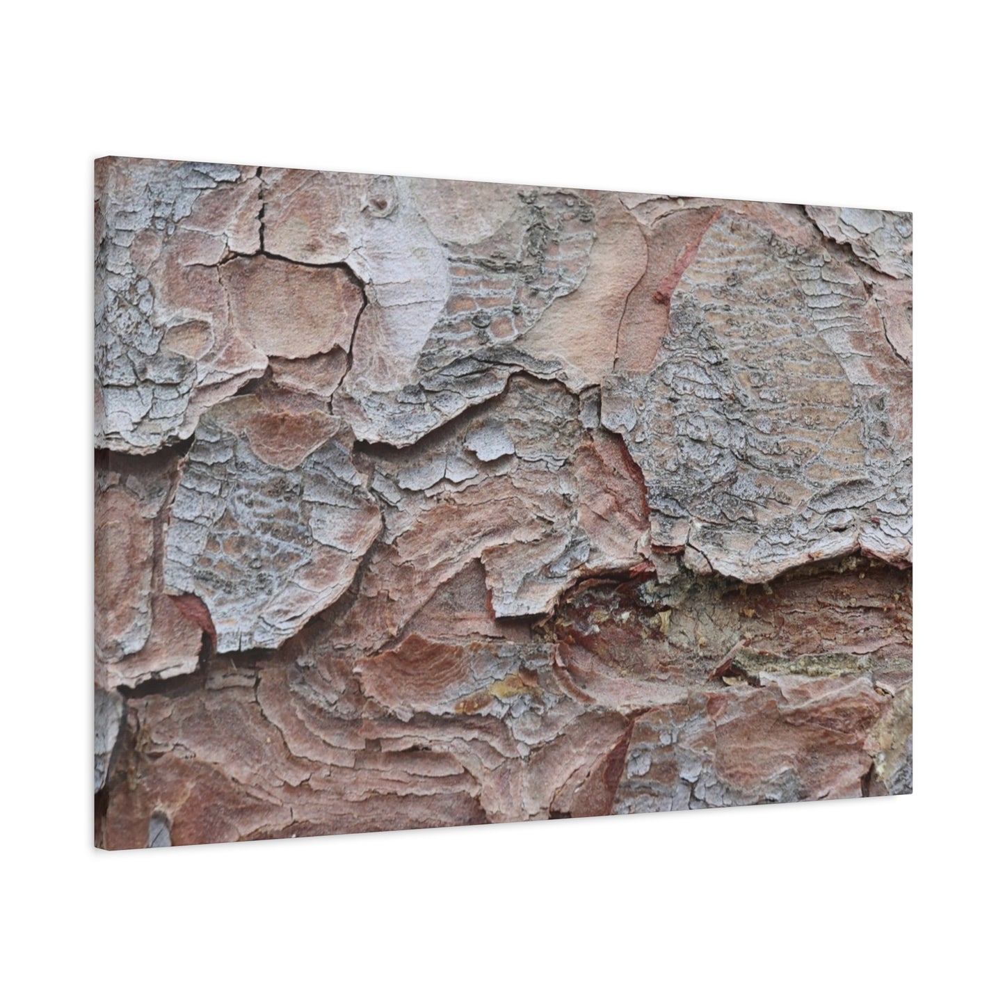 Textural Landscape - Unique Frameless Canvas Wall Art
