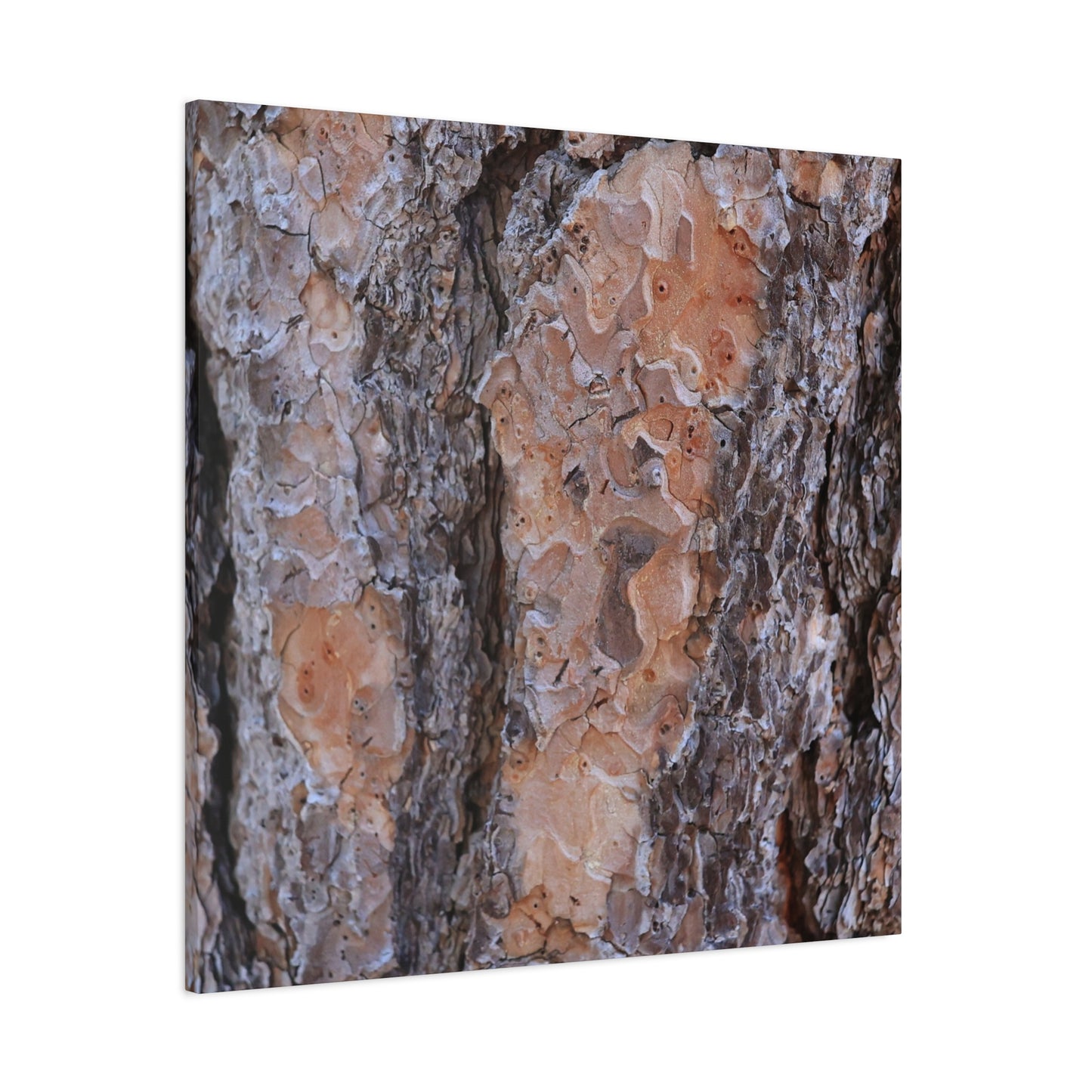 Terracotta Textures - Unique Frameless Canvas Wall Art