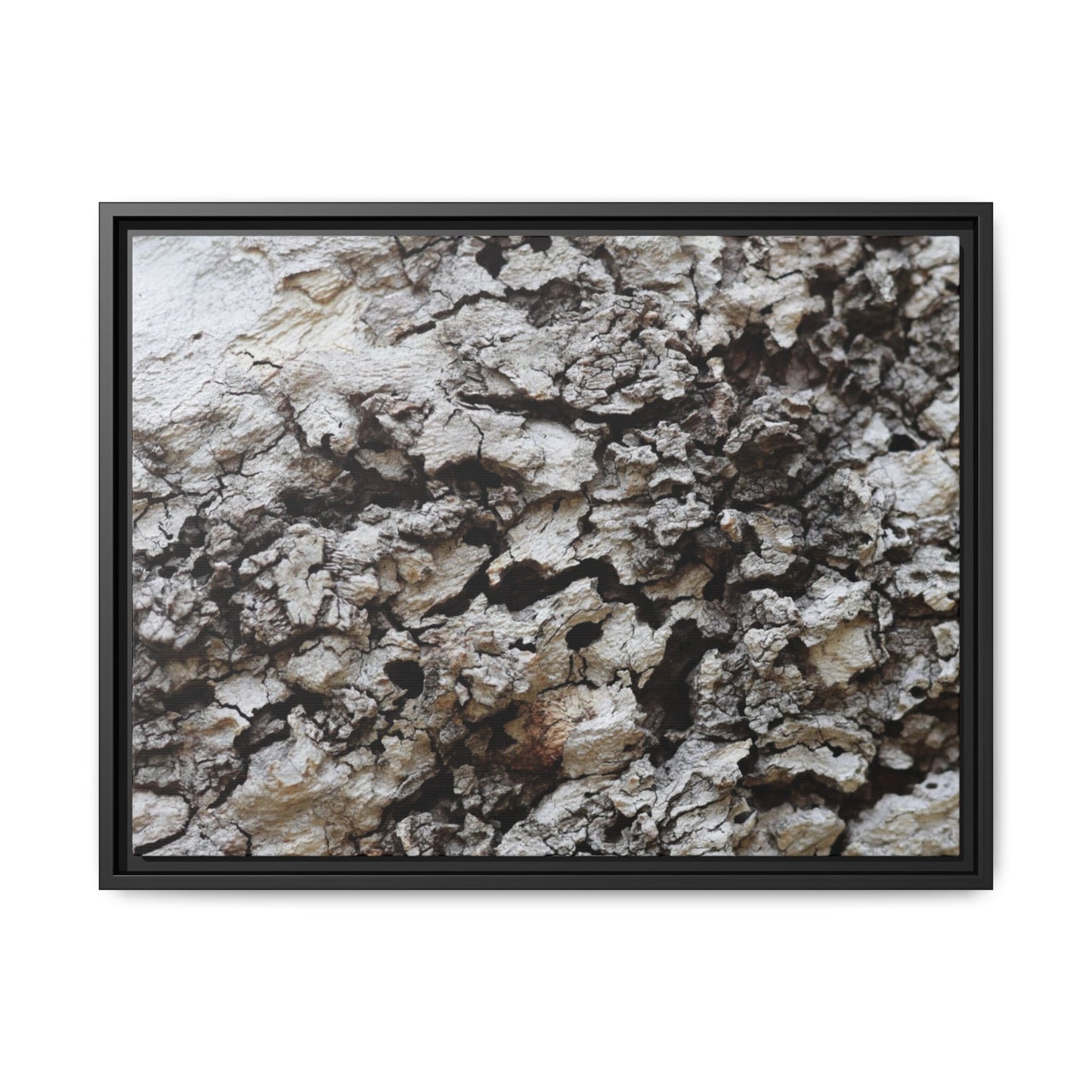 Cracked Terrain - Unique Stretched Canvas Wall Art