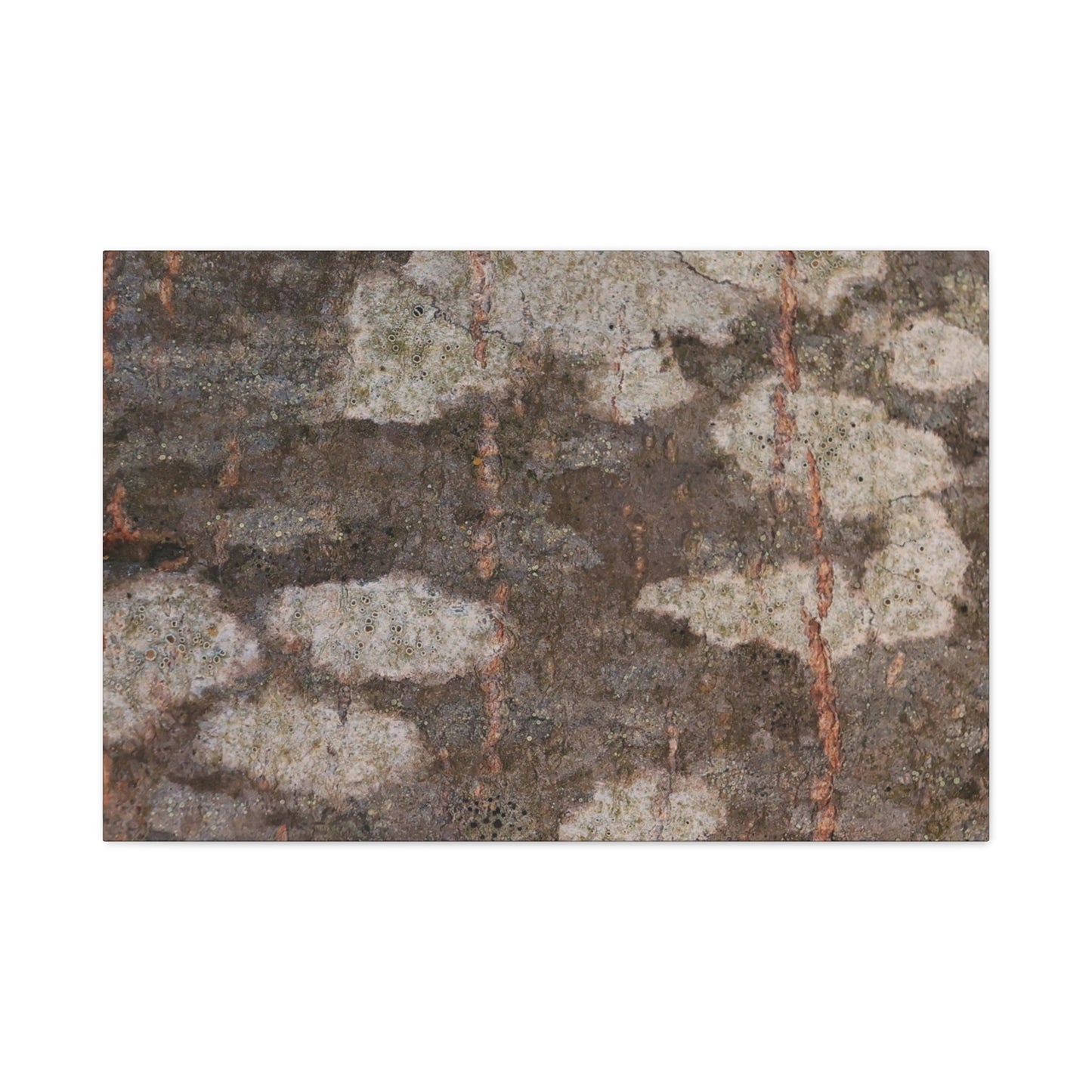 Earthen Memoir - Unique Frameless Canvas Wall Art
