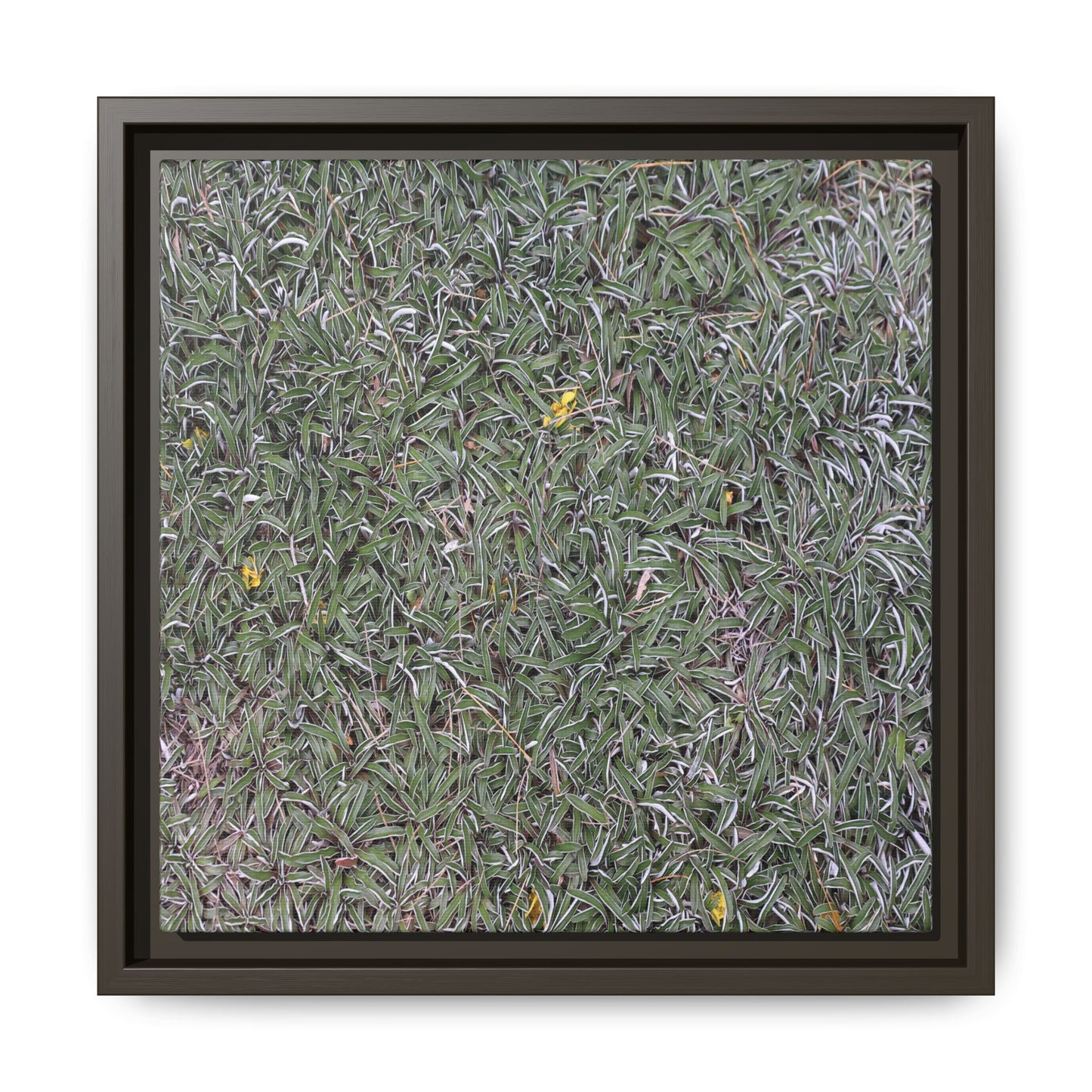 Grassy Texture - Unique Stretched Canvas Wall Art