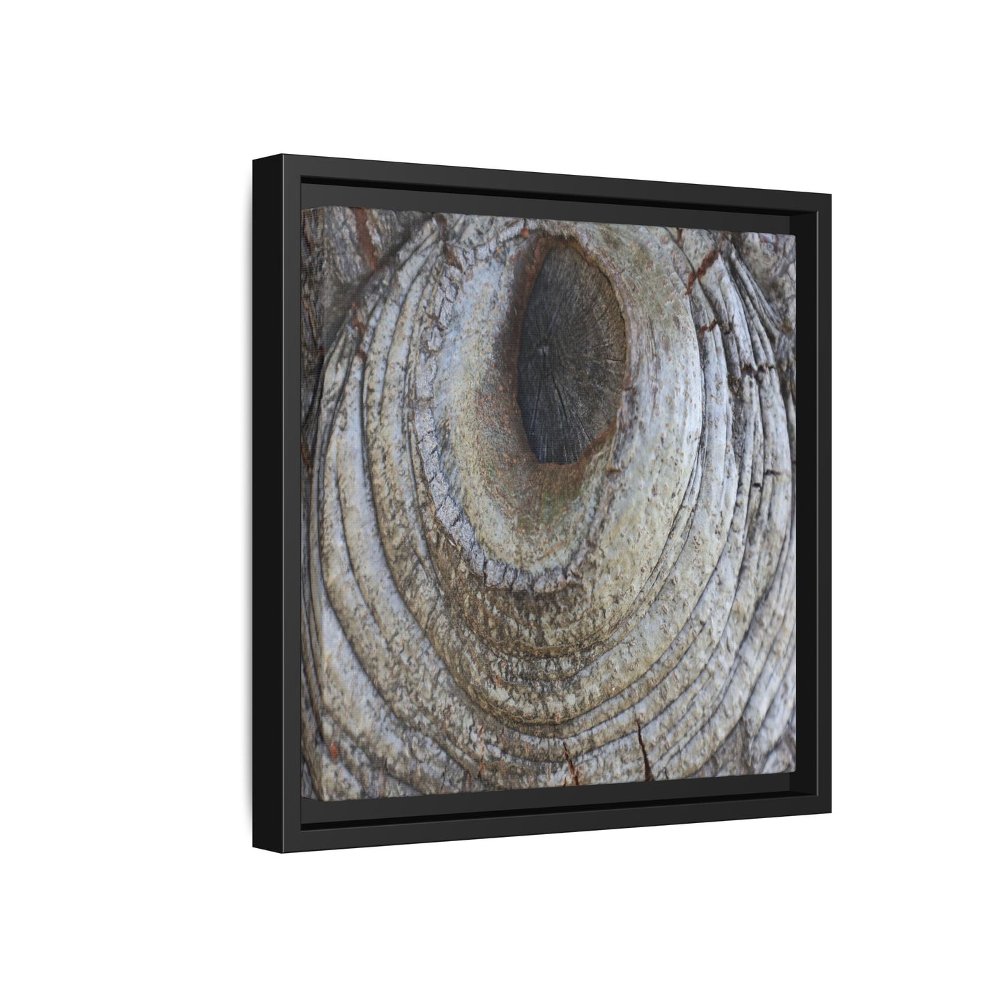 Echoes of Time - Unique Stretched Canvas Wall Art
