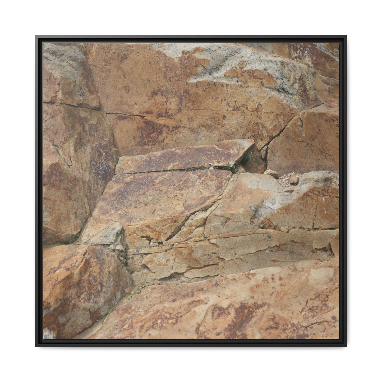 Ancient Foundations - Unique Stretched Canvas Wall Art