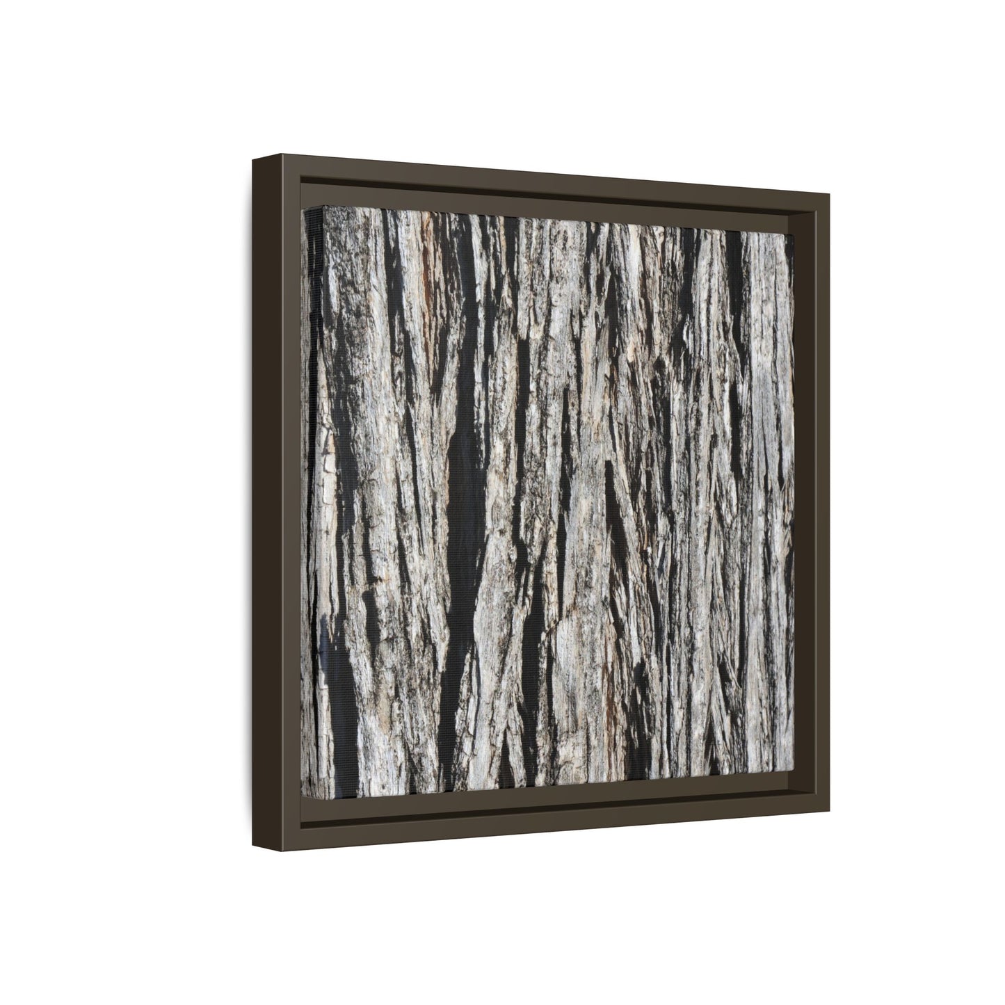 Nature's Abstract - Unique Stretched Canvas Wall Art