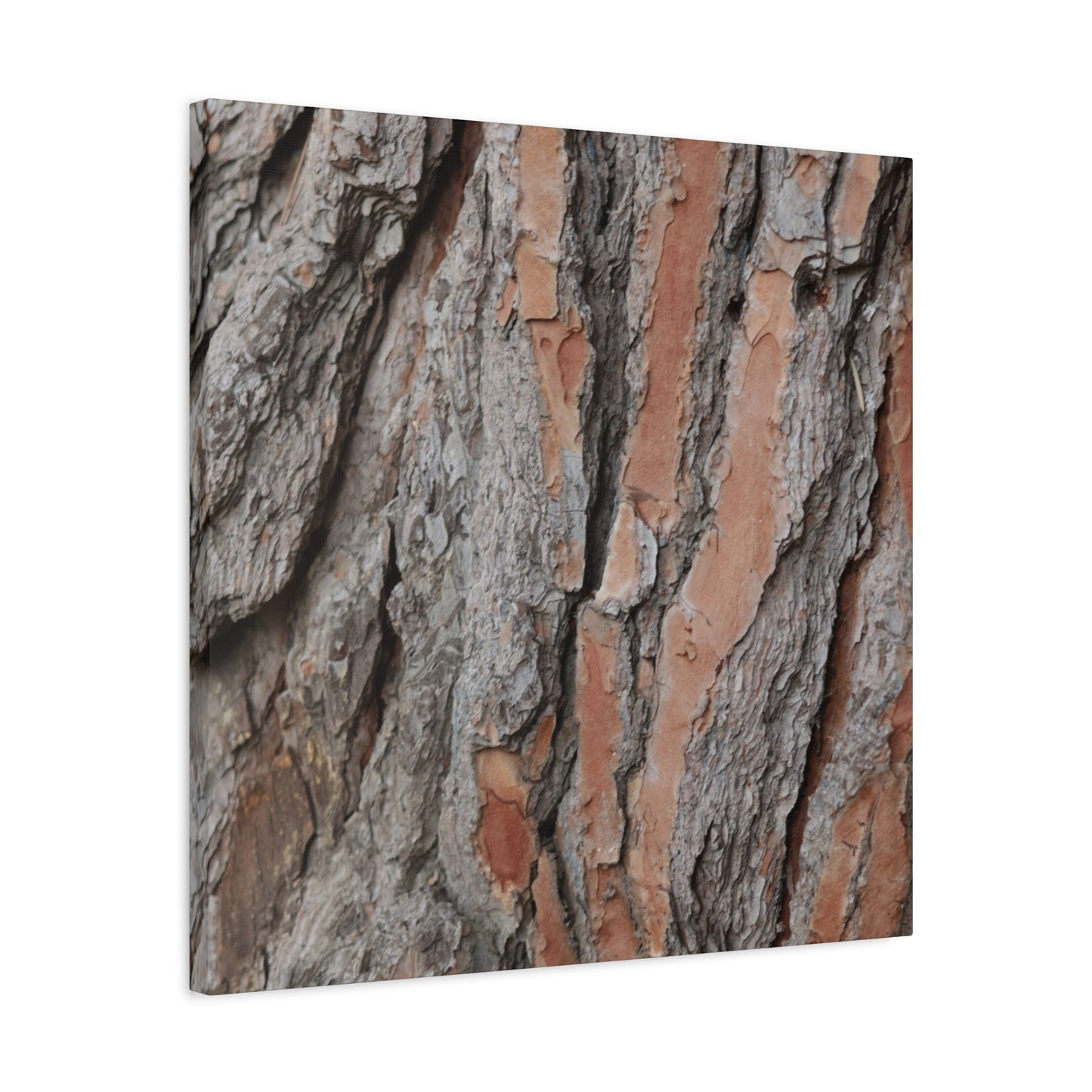 Fractal Landscape - Unique Frameless Canvas Wall Art