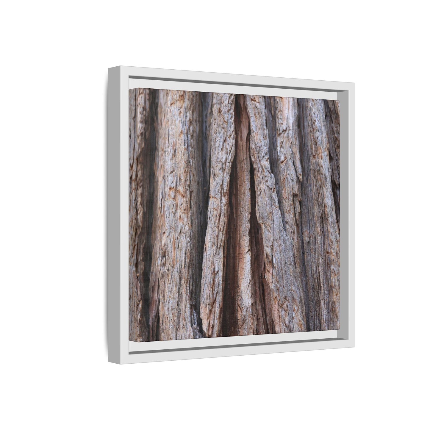 Nature's Sculpture - Unique Stretched Canvas Wall Art