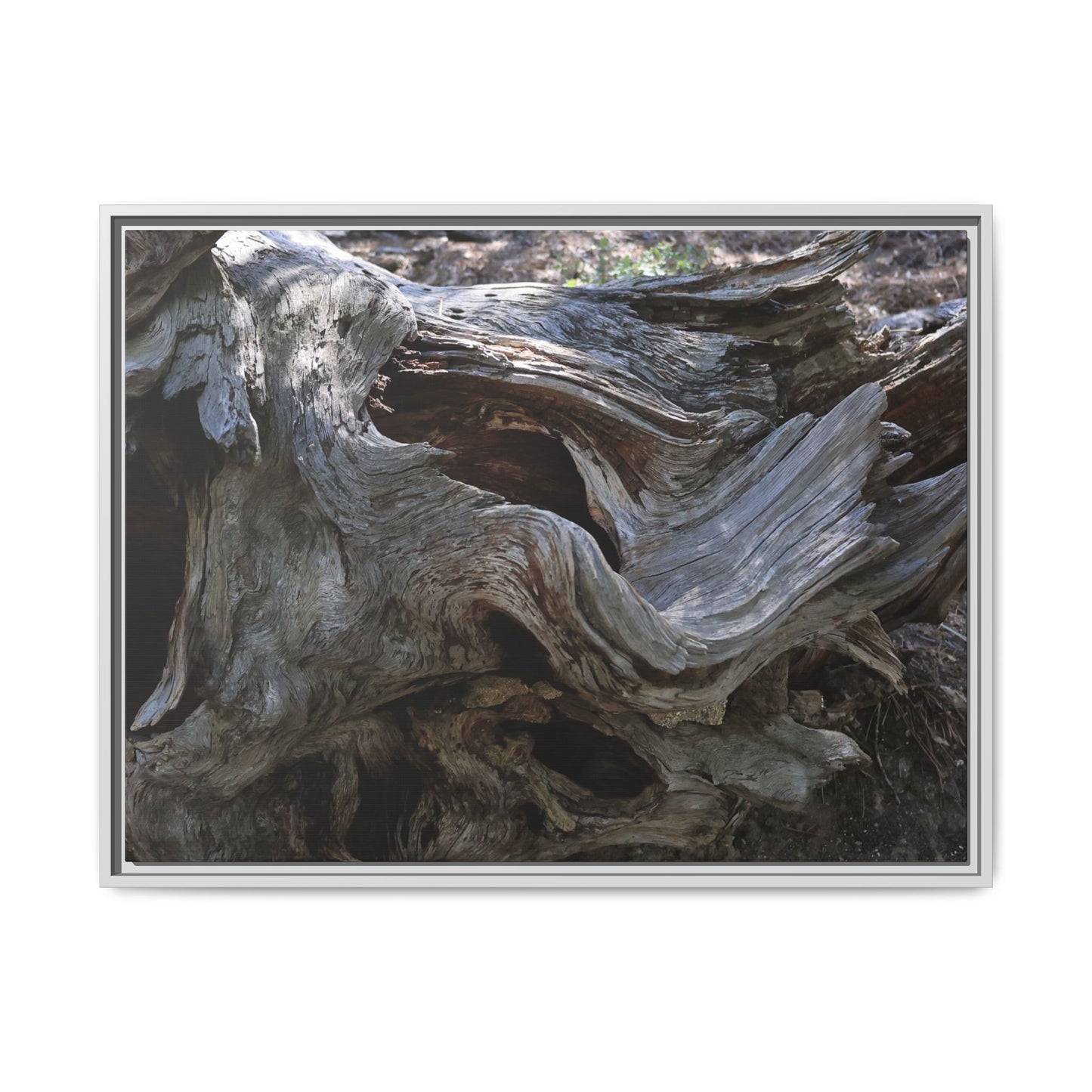Twisted Memories - Unique Stretched Canvas Wall Art