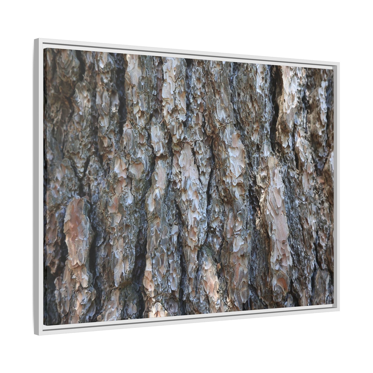 Bark Whispers - Unique Stretched Canvas Wall Art