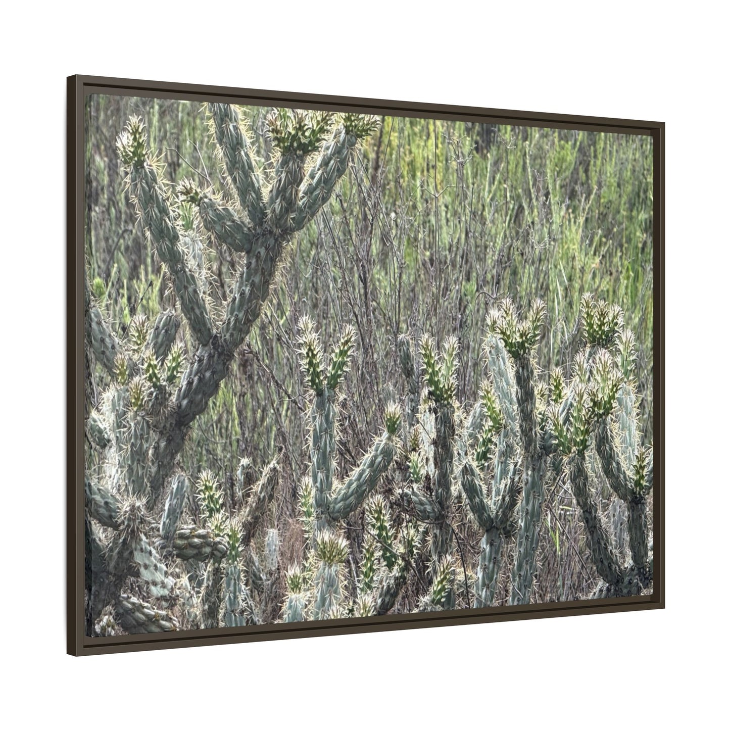 Prickly Paradise - Unique Stretched Canvas Wall Art