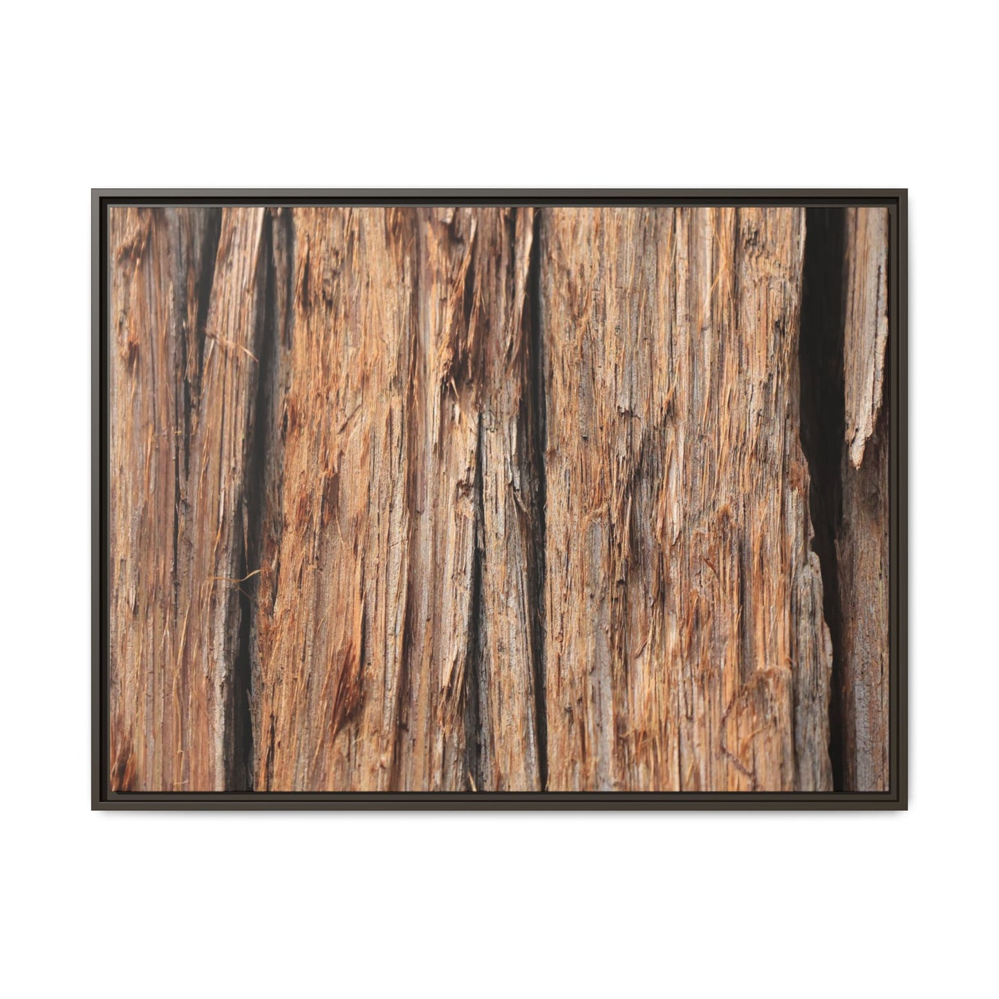 Timber Echoes - Unique Stretched Canvas Wall Art