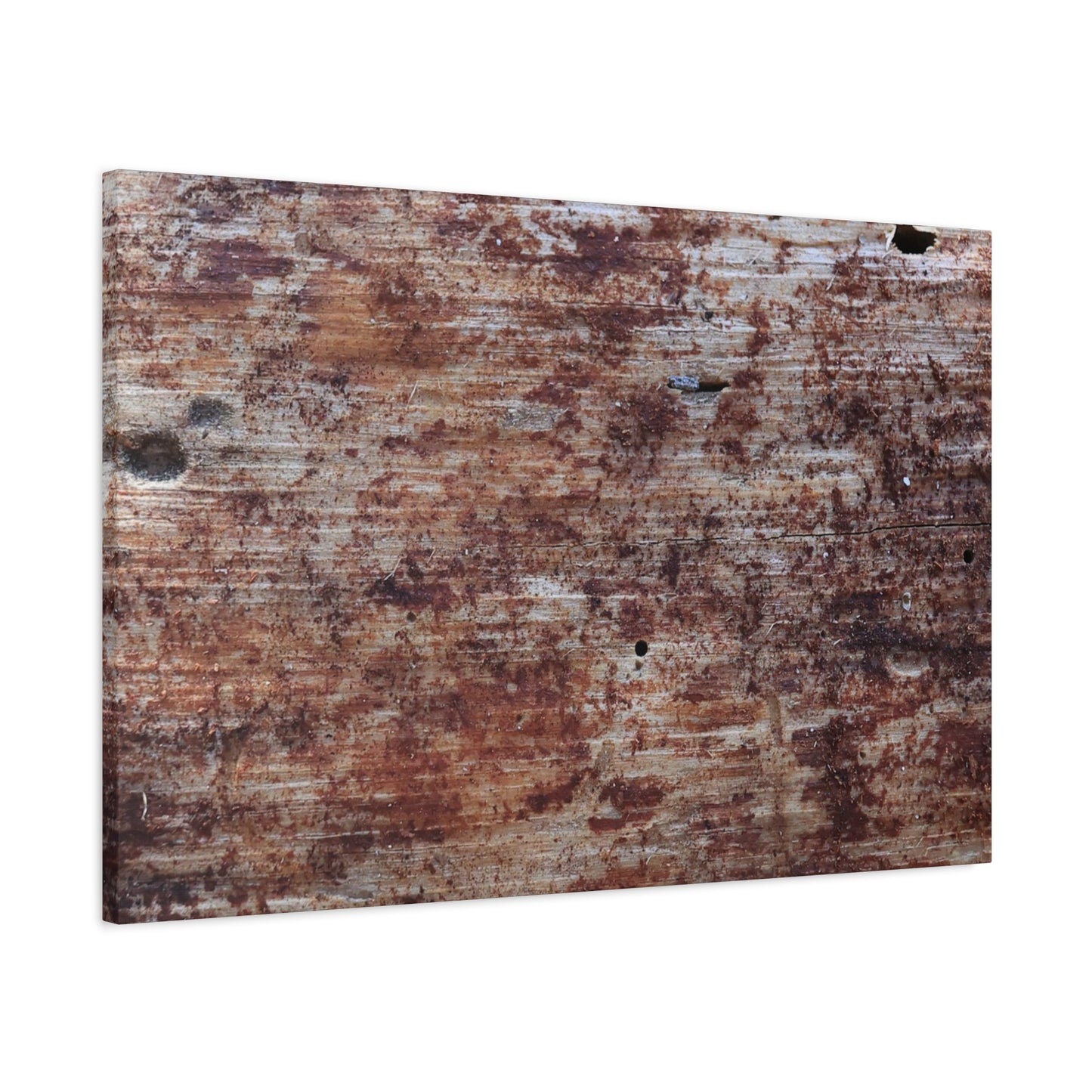 Decaying Memoir - Unique Frameless Canvas Wall Art