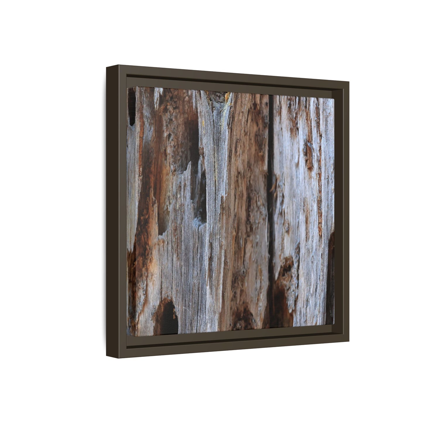 Decaying Splendor - Unique Stretched Canvas Wall Art