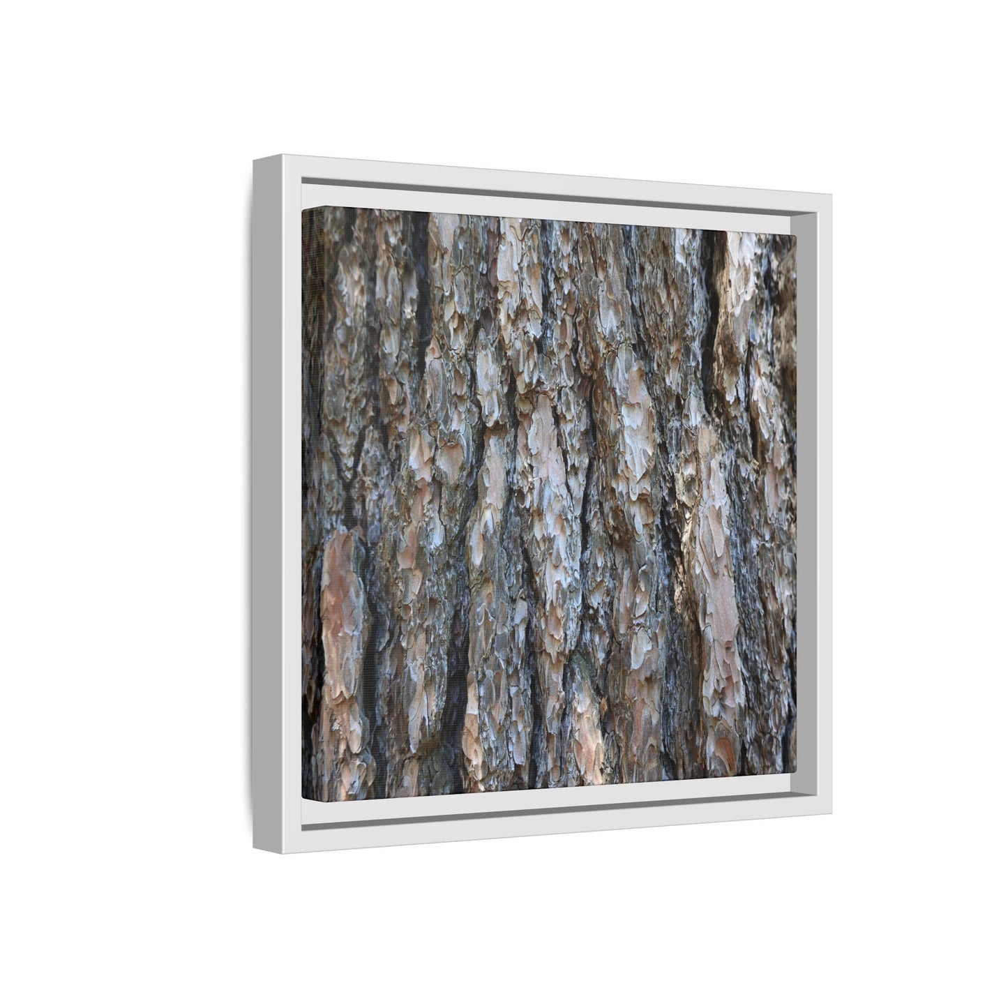 Bark Whispers - Unique Stretched Canvas Wall Art