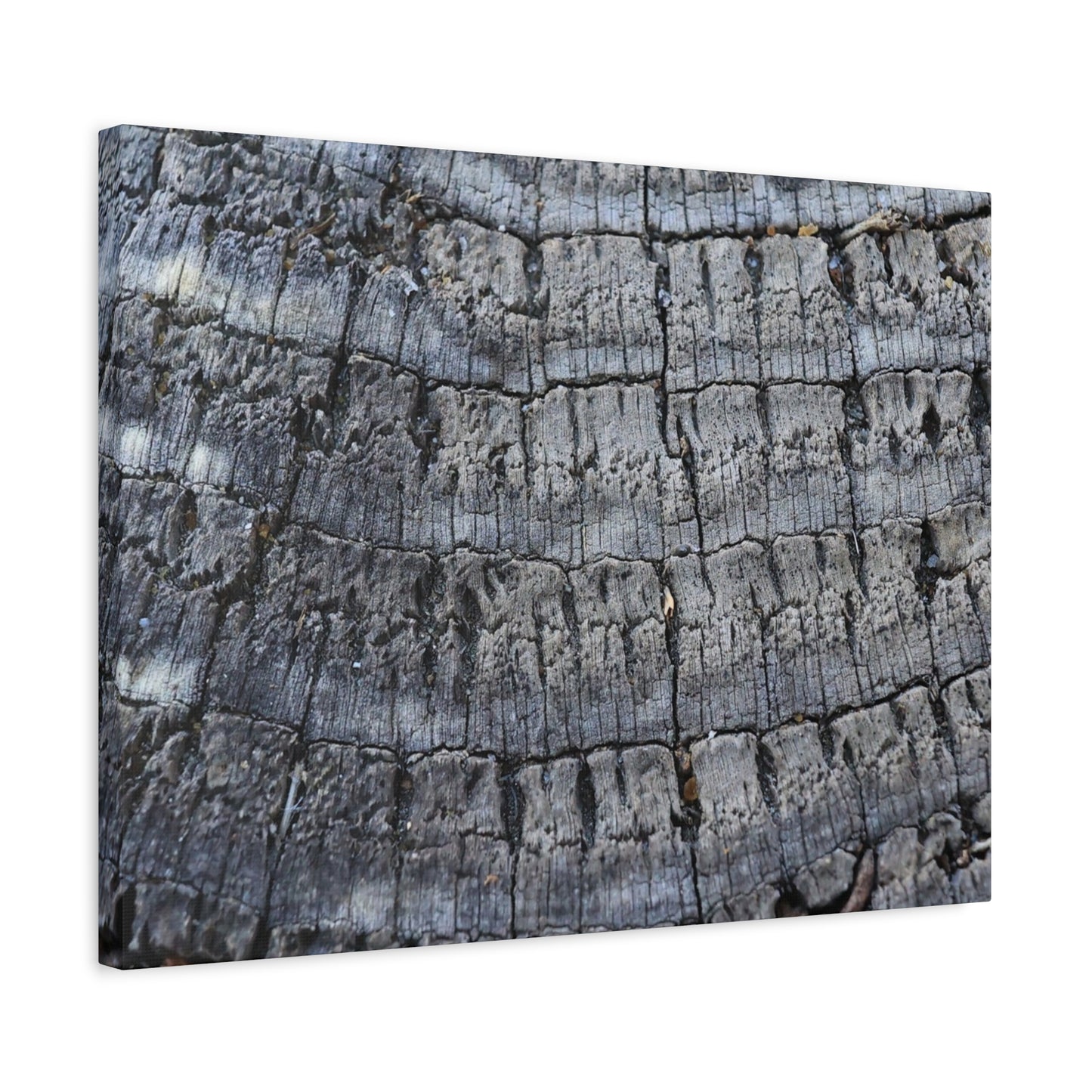 Whispers of Age - Unique Frameless Canvas Wall Art