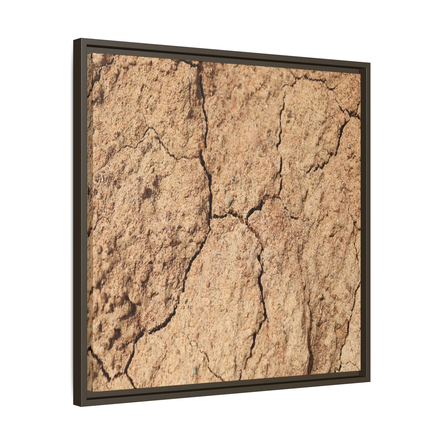Parched Land - Unique Stretched Canvas Wall Art