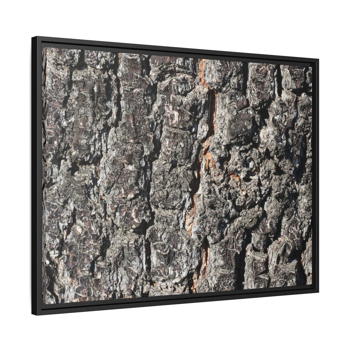 Aged Beauty - Unique Stretched Canvas Wall Art