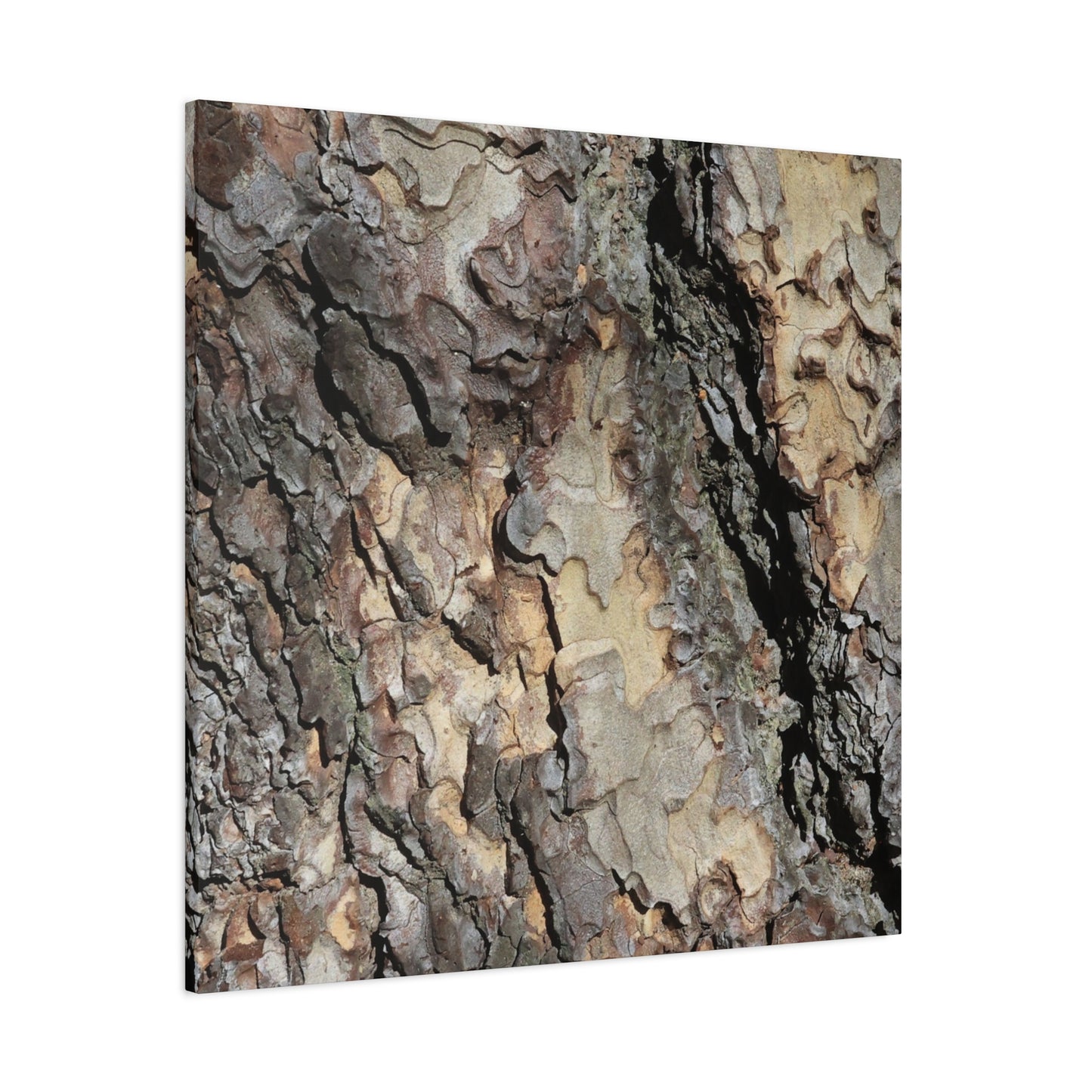 Tree Bark Symphony - Unique Frameless Canvas Wall Art