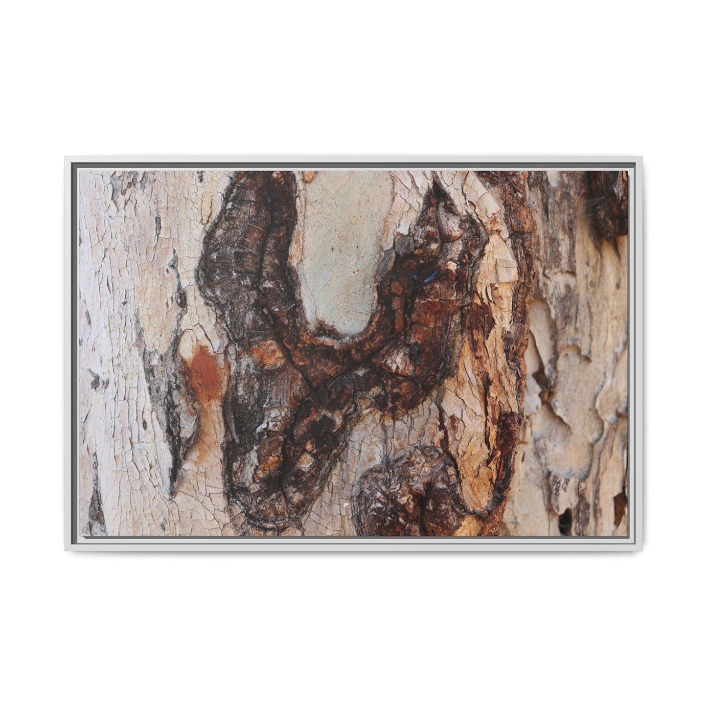 Texture of Time - Unique Stretched Canvas Wall Art