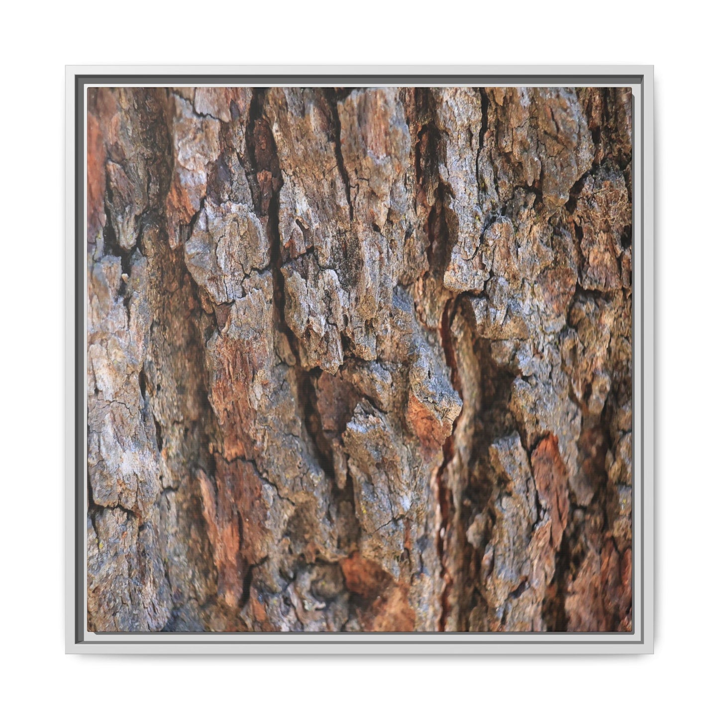 Craggy Textures - Unique Stretched Canvas Wall Art