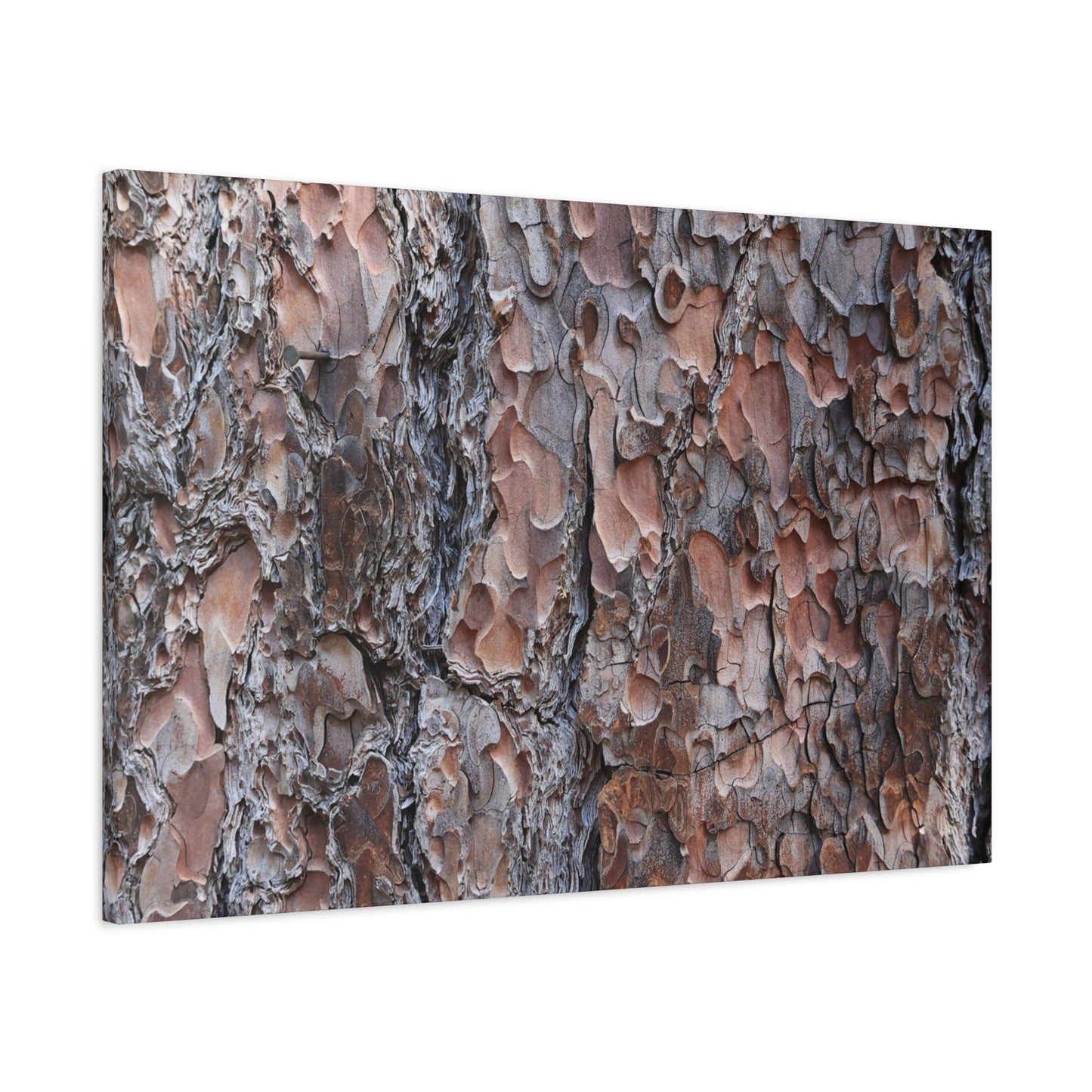 Woodland Armor - Unique Frameless Canvas Wall Art