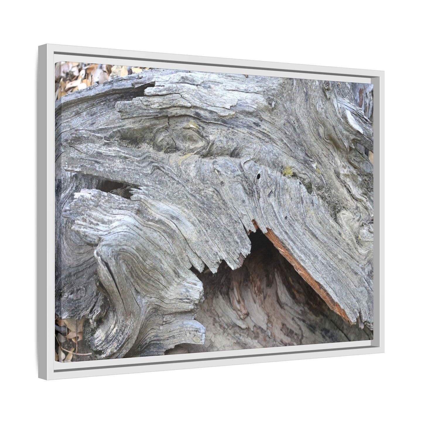 Driftwood Dreams - Unique Stretched Canvas Wall Art