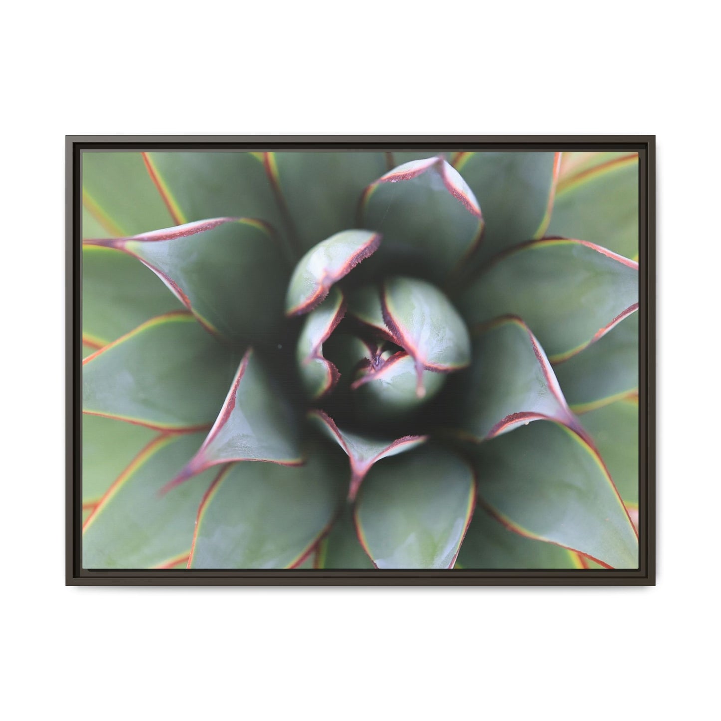 Spiky Elegance - Unique Stretched Canvas Wall Art