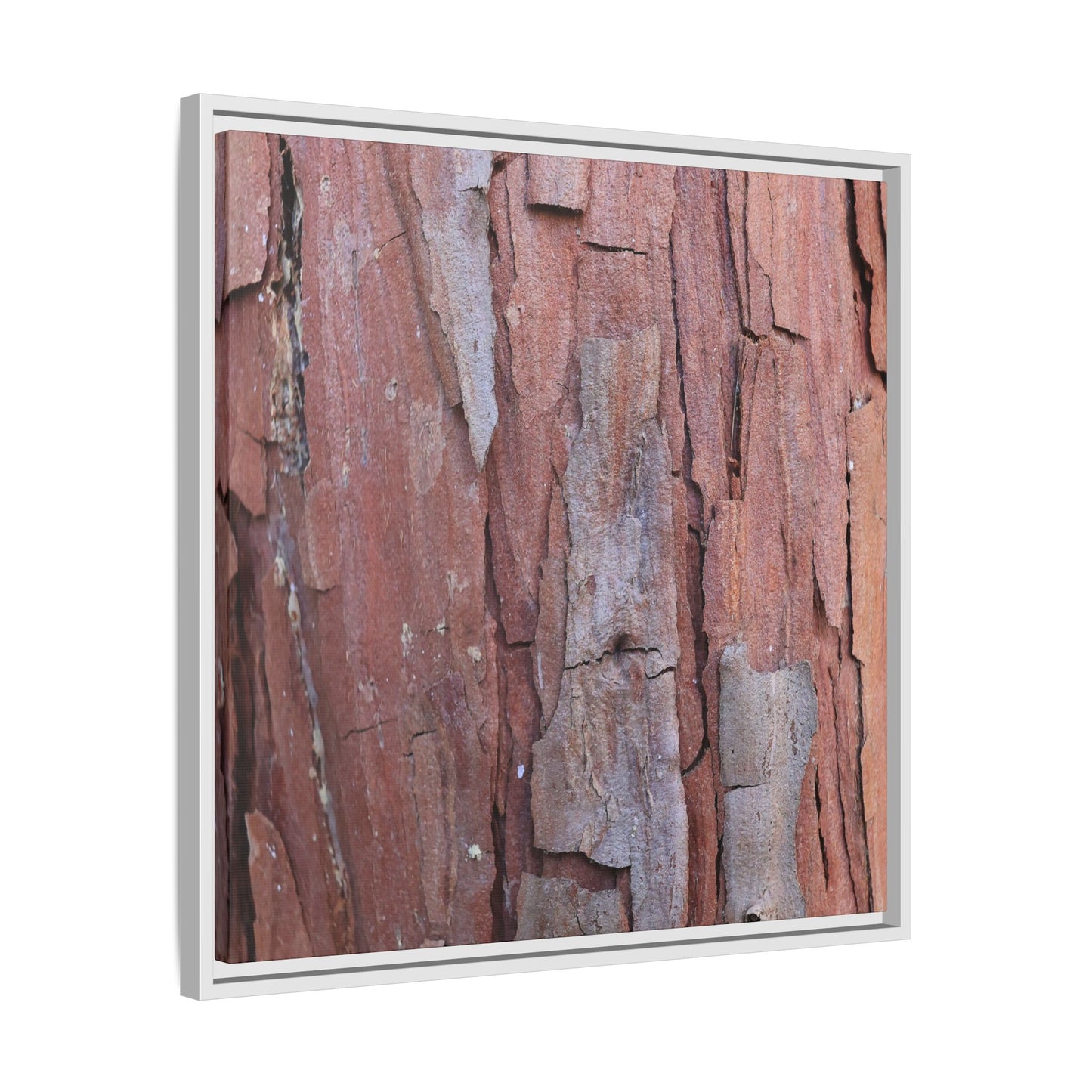 Peeling Bark - Unique Stretched Canvas Wall Art