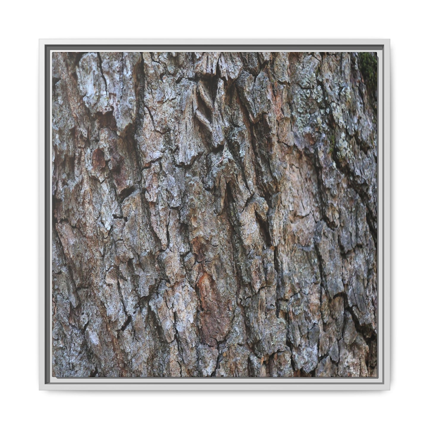 Woodland Skin - Unique Stretched Canvas Wall Art