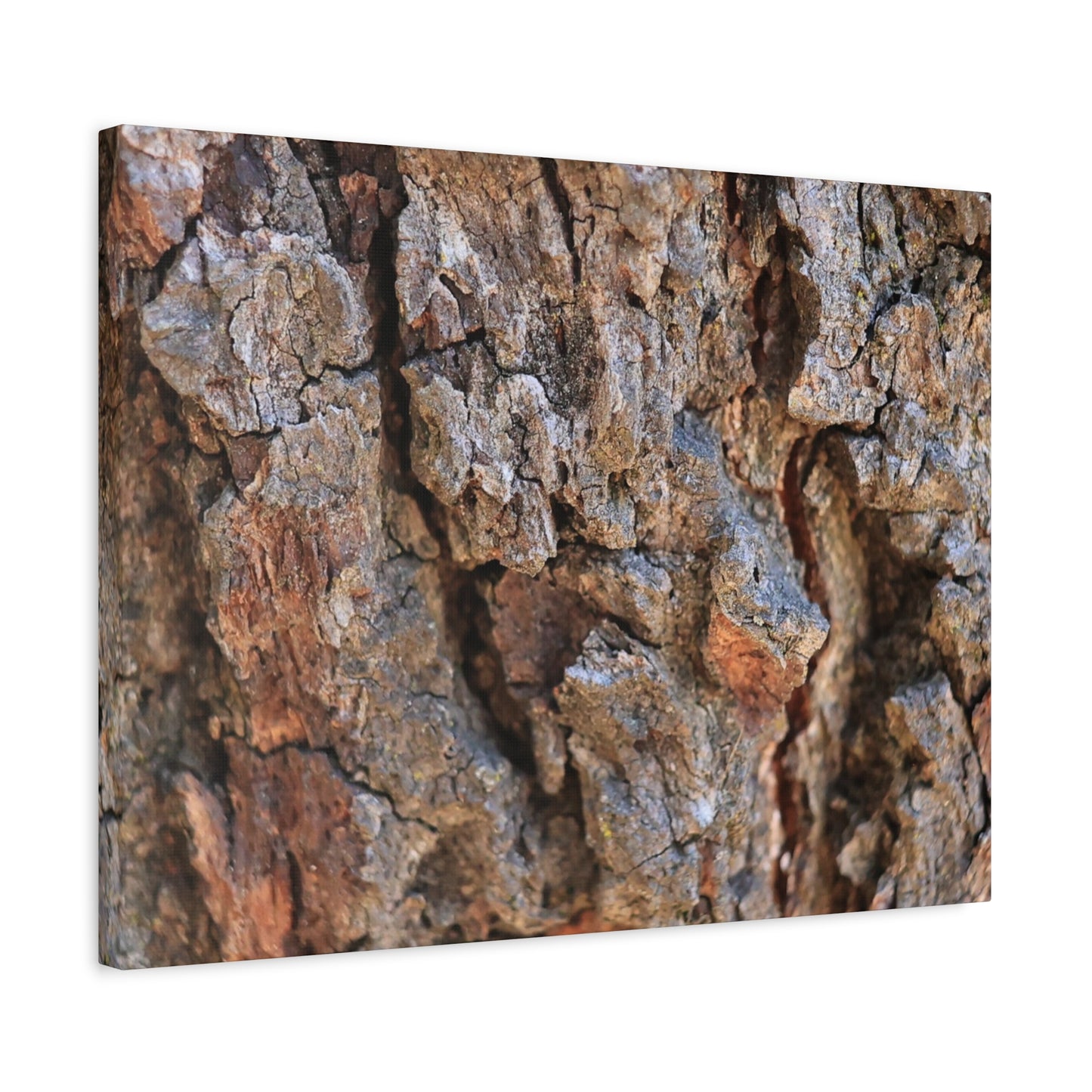 Nature's Skin - Unique Frameless Canvas Wall Art