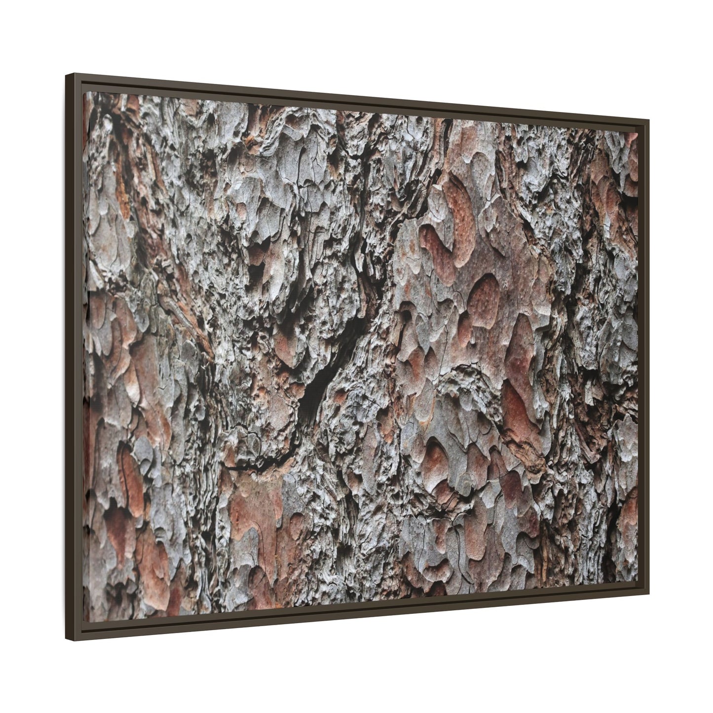 Bark Texture Symphony - Unique Stretched Canvas Wall Art