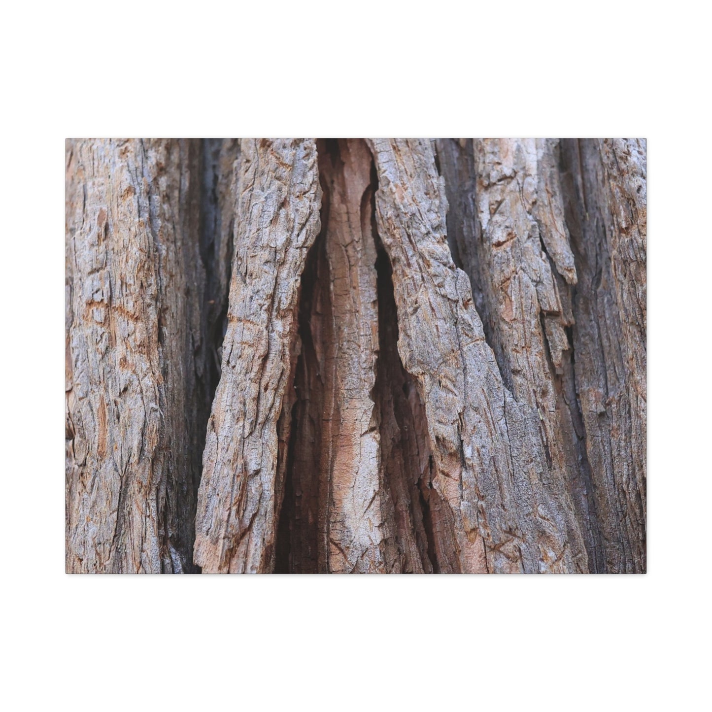 Fractured Skin of Time - Unique Frameless Canvas Wall Art