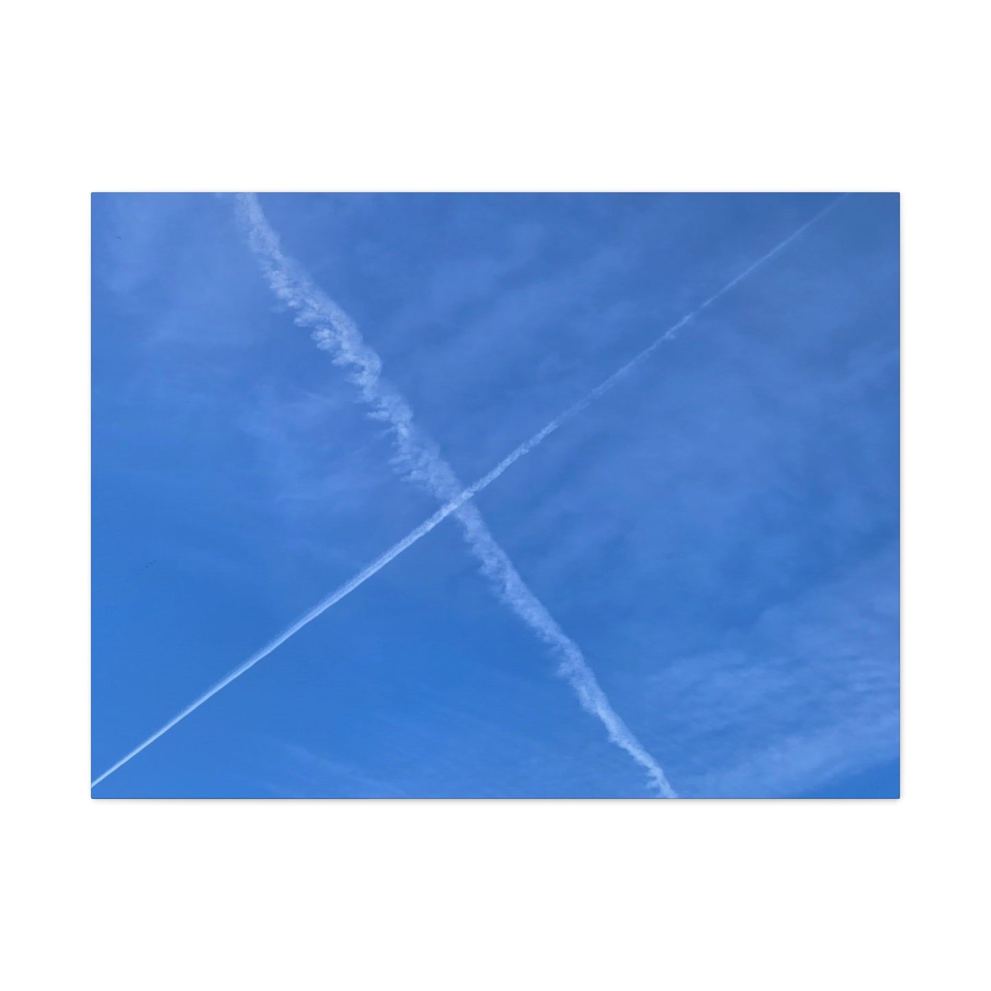 Crossing Paths - Unique Frameless Canvas Wall Art