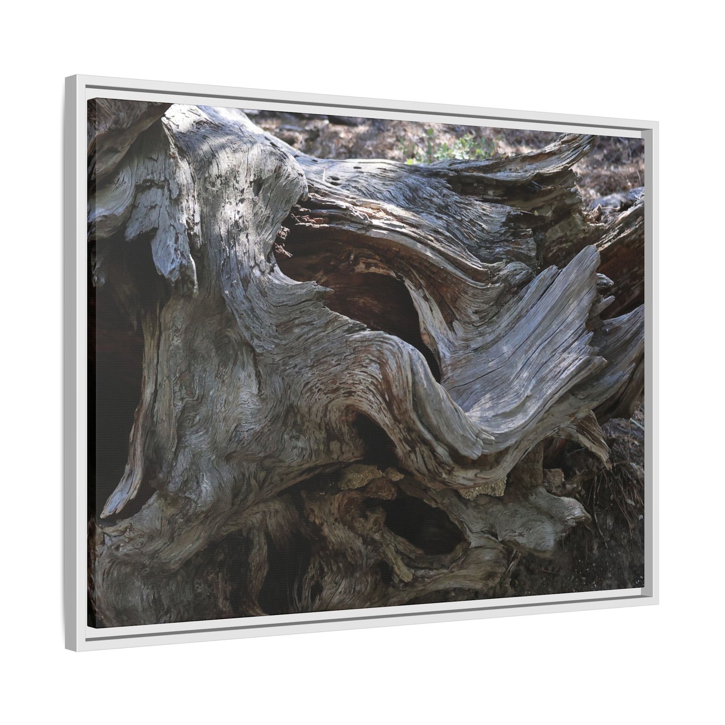 Twisted Memories - Unique Stretched Canvas Wall Art