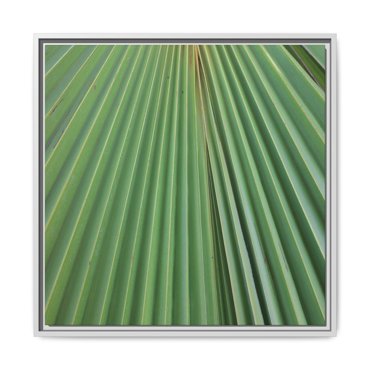 Verdant Veins - Unique Stretched Canvas Wall Art