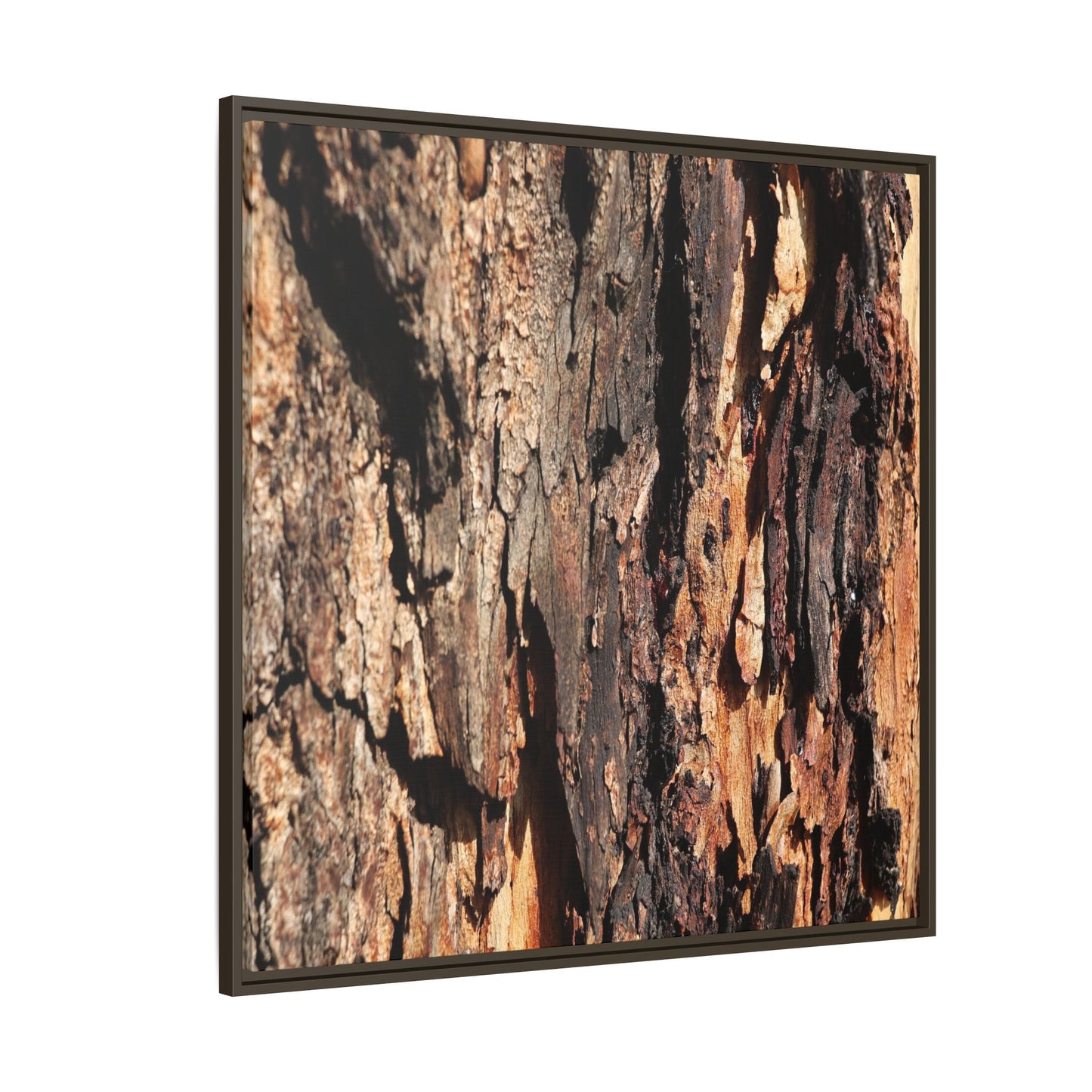 Rugged Beauty - Unique Stretched Canvas Wall Art