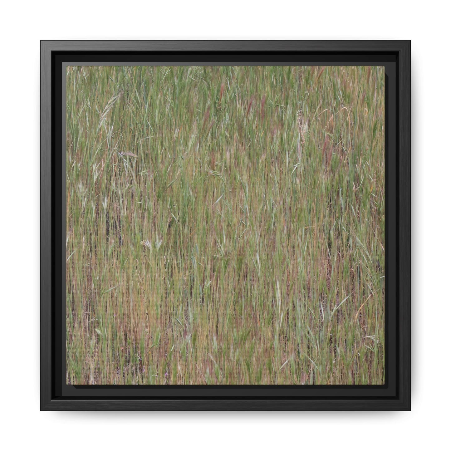 Field of Dreams - Unique Stretched Canvas Wall Art
