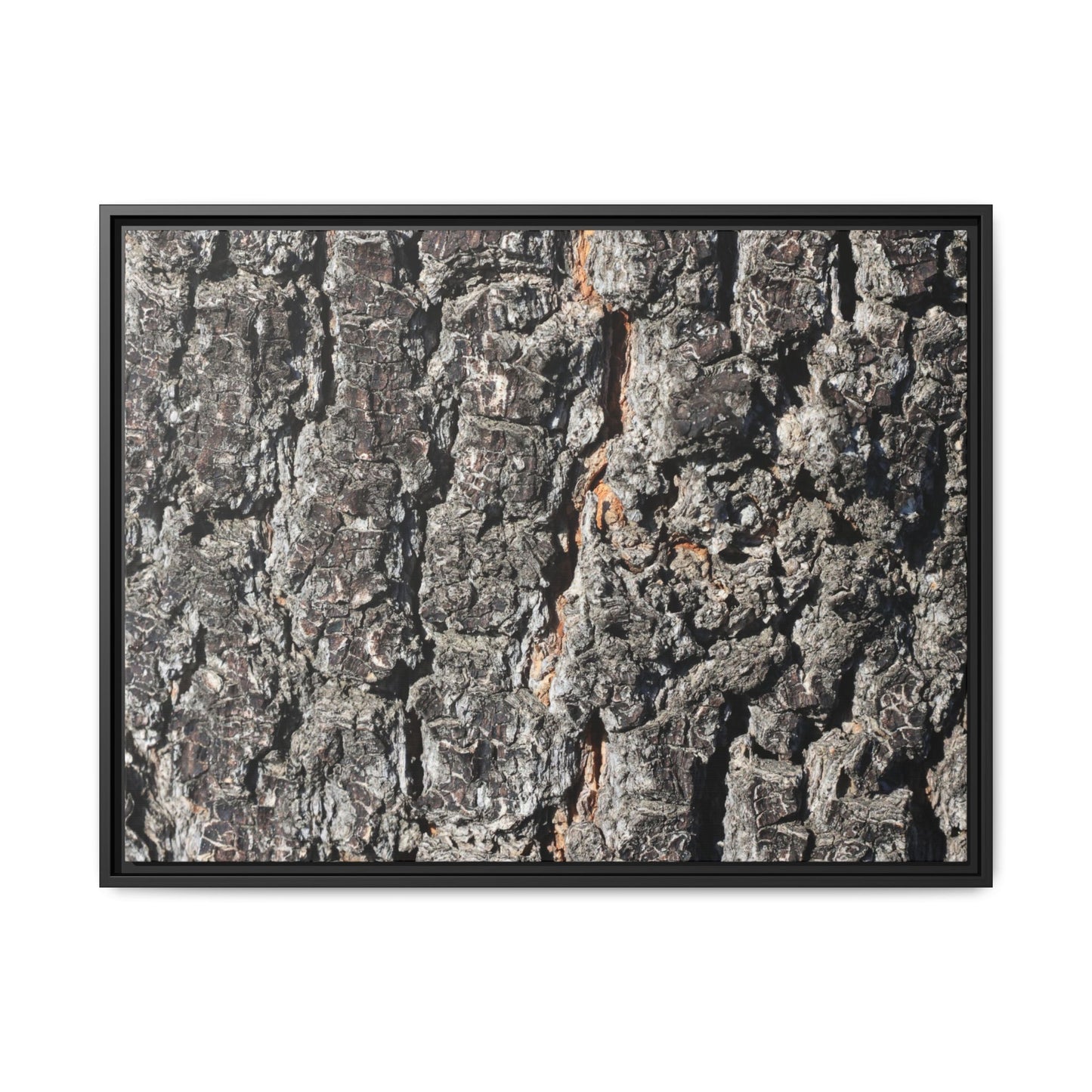 Aged Beauty - Unique Stretched Canvas Wall Art
