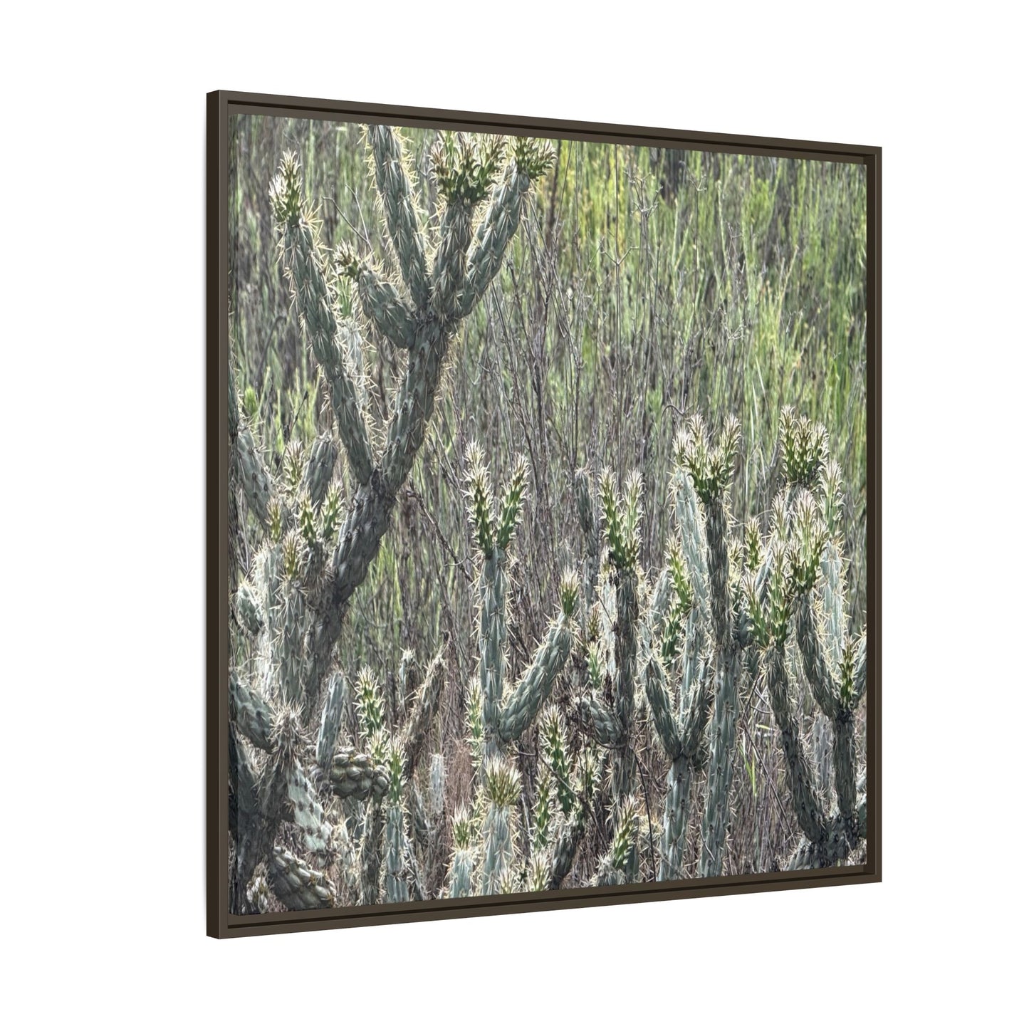 Prickly Paradise - Unique Stretched Canvas Wall Art