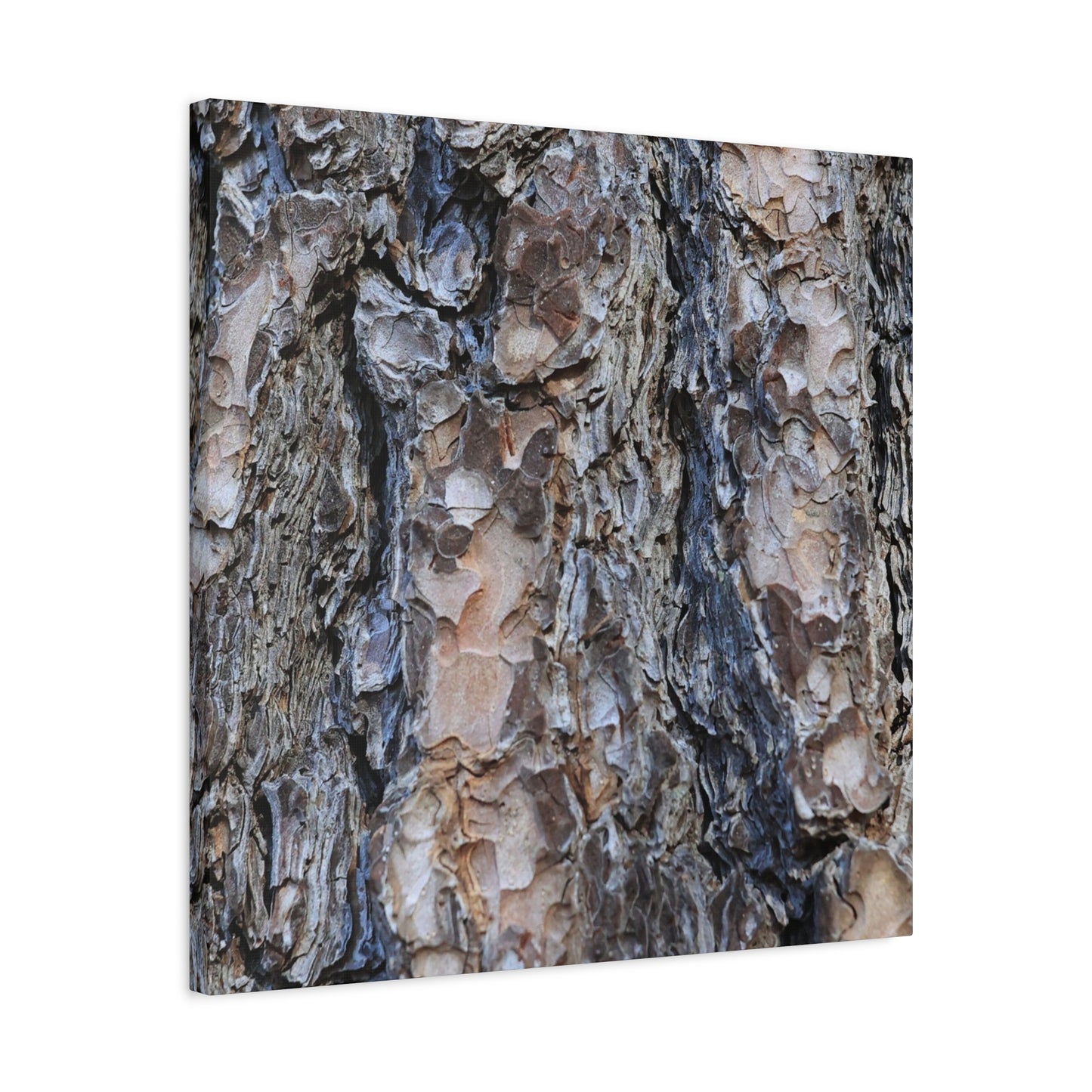 Arboreal Patterns - Unique Frameless Canvas Wall Art