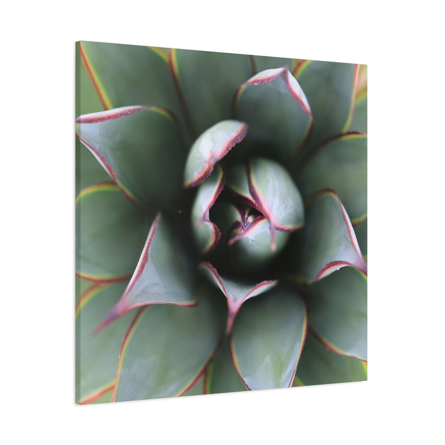 Emerald Spiral - Unique Frameless Canvas Wall Art