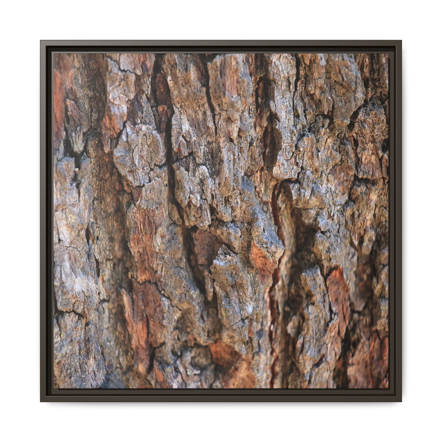 Craggy Textures - Unique Stretched Canvas Wall Art
