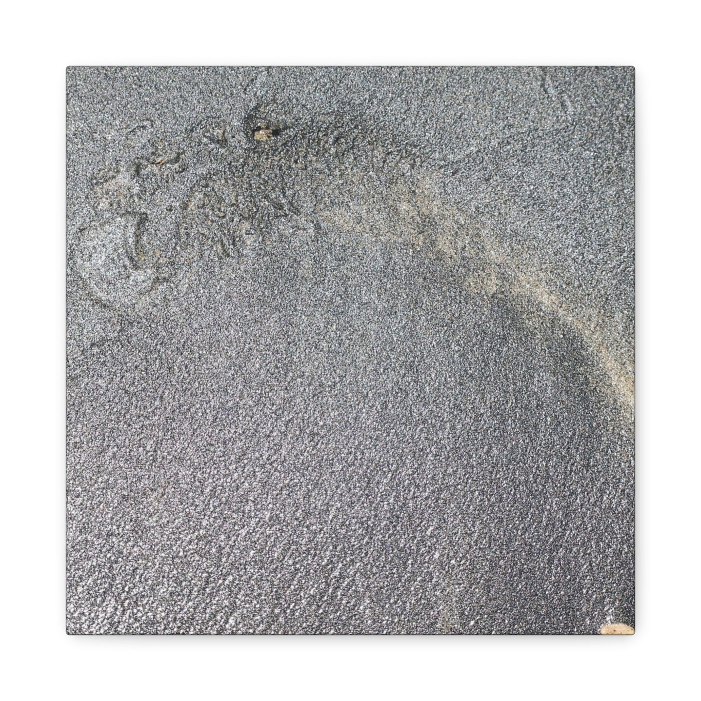 Ephemeral Whispers of Granite - Unique Frameless Canvas Wall Art