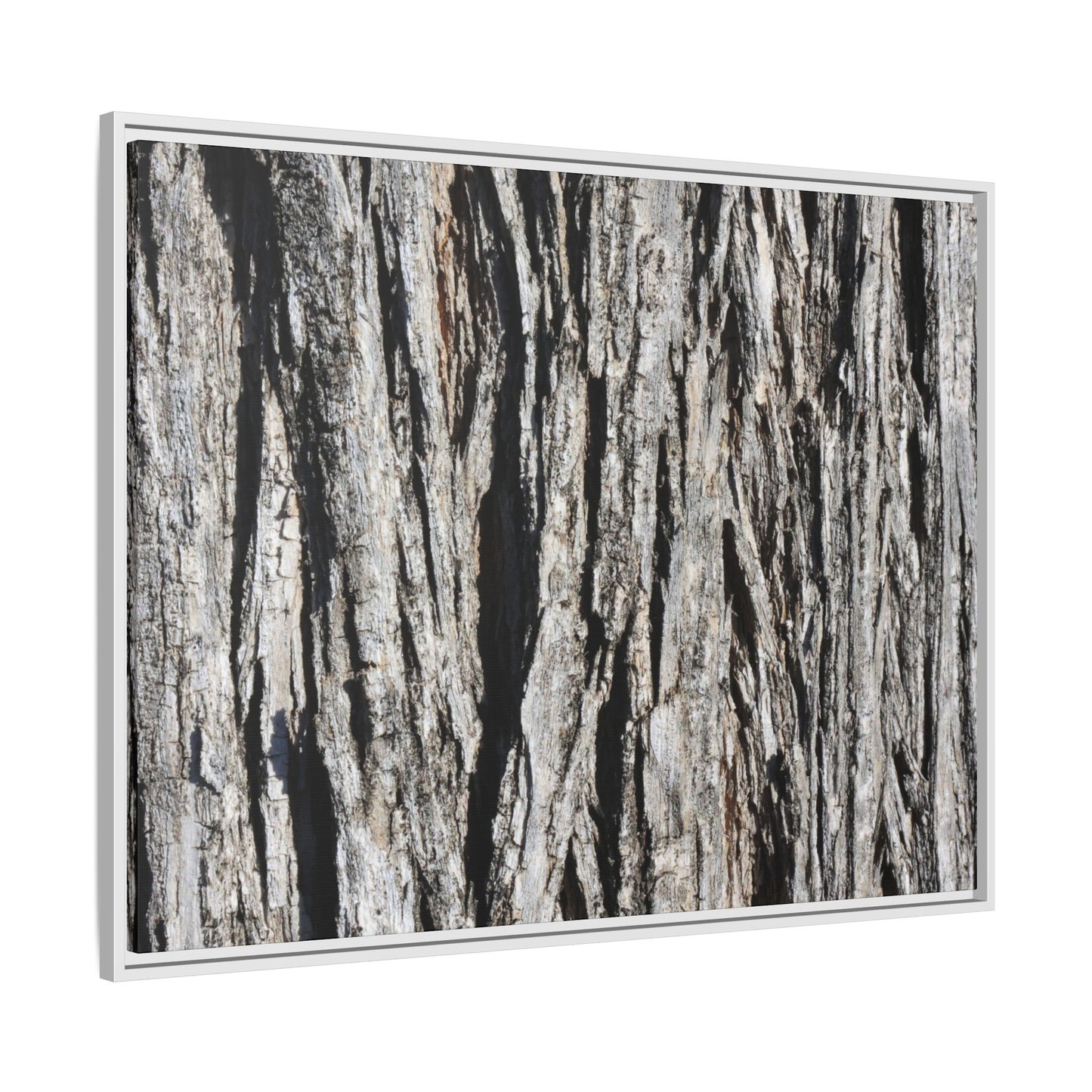 Bark Lines - Unique Stretched Canvas Wall Art