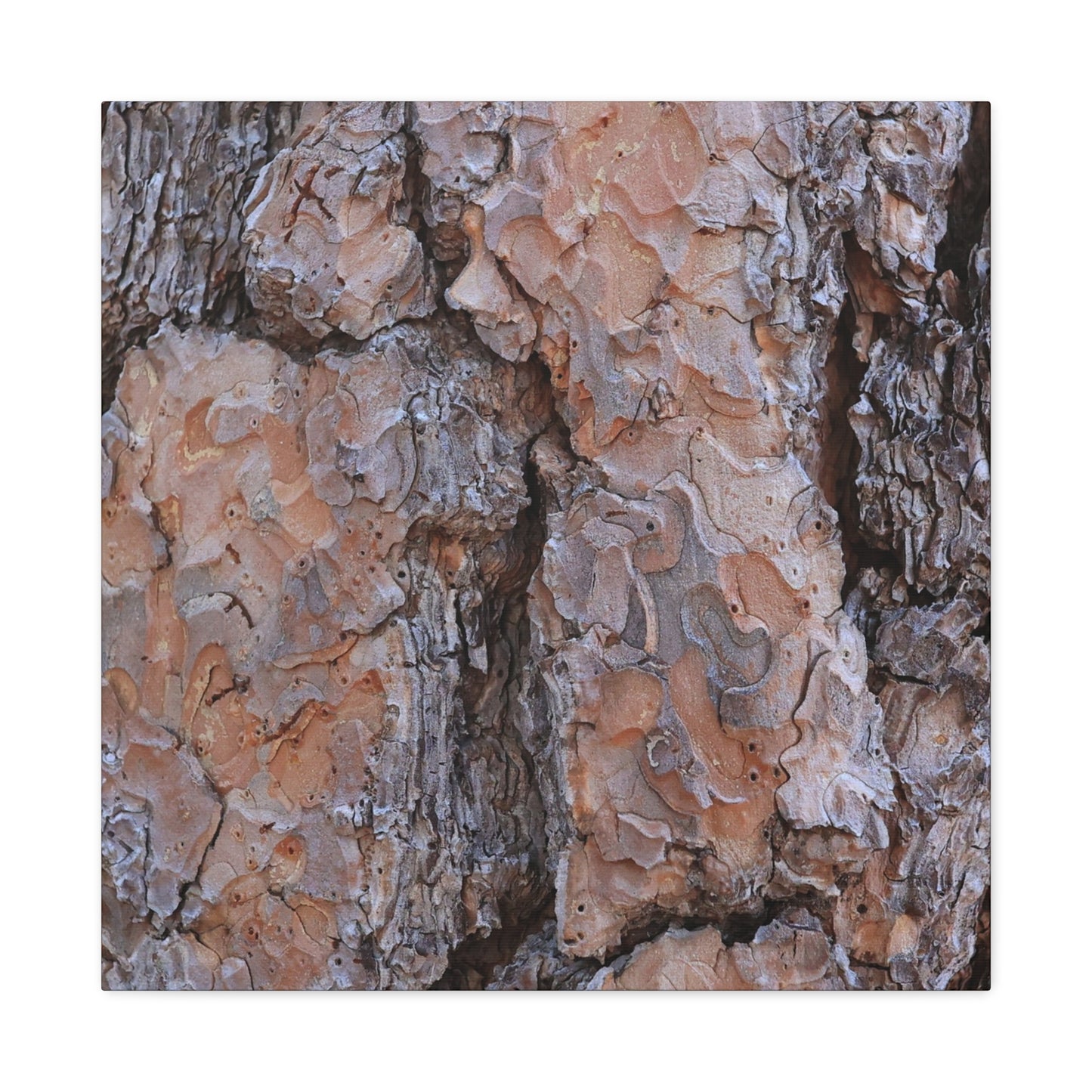 Arboreal Armor - Unique Frameless Canvas Wall Art