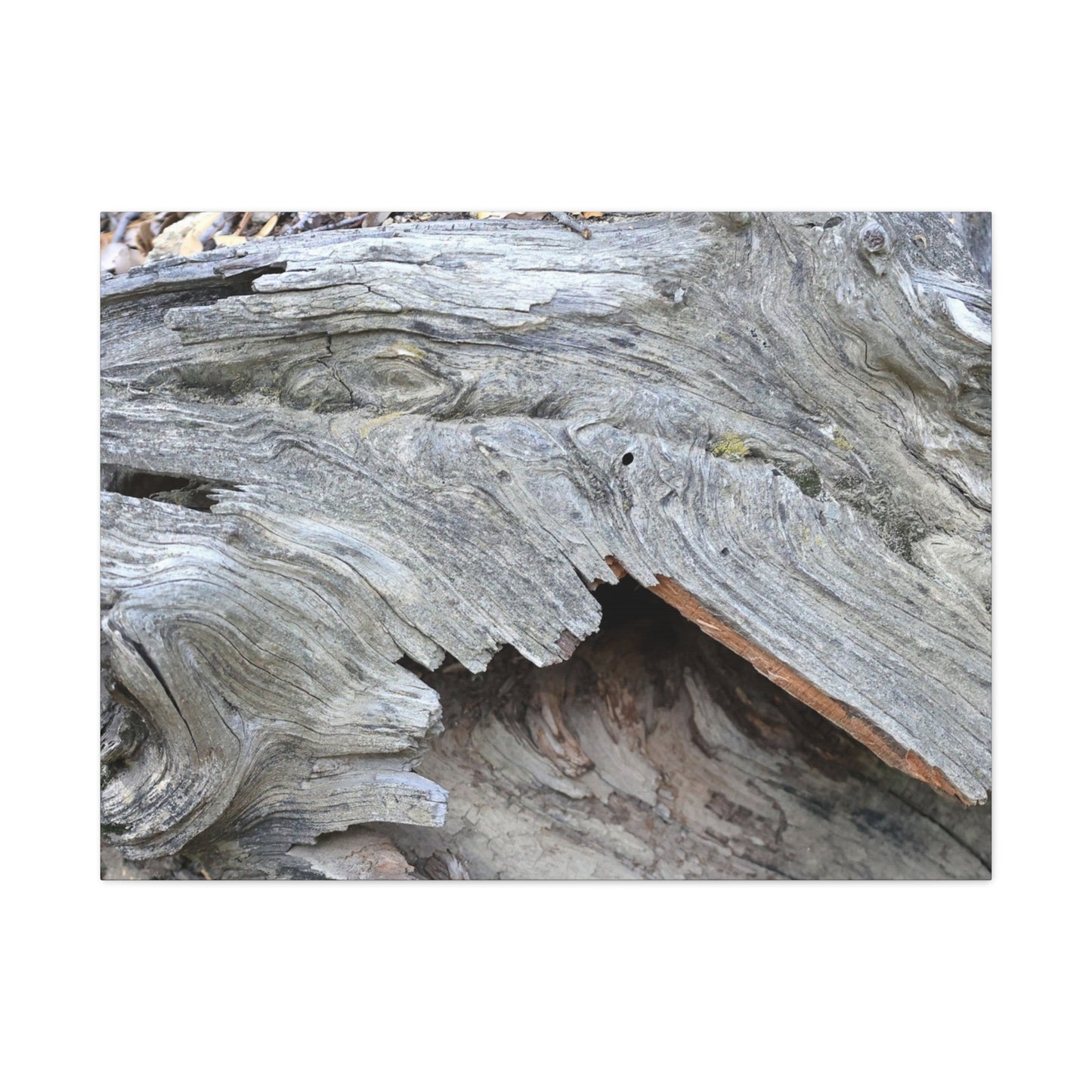 Whispers of Ancient Wood - Unique Frameless Canvas Wall Art